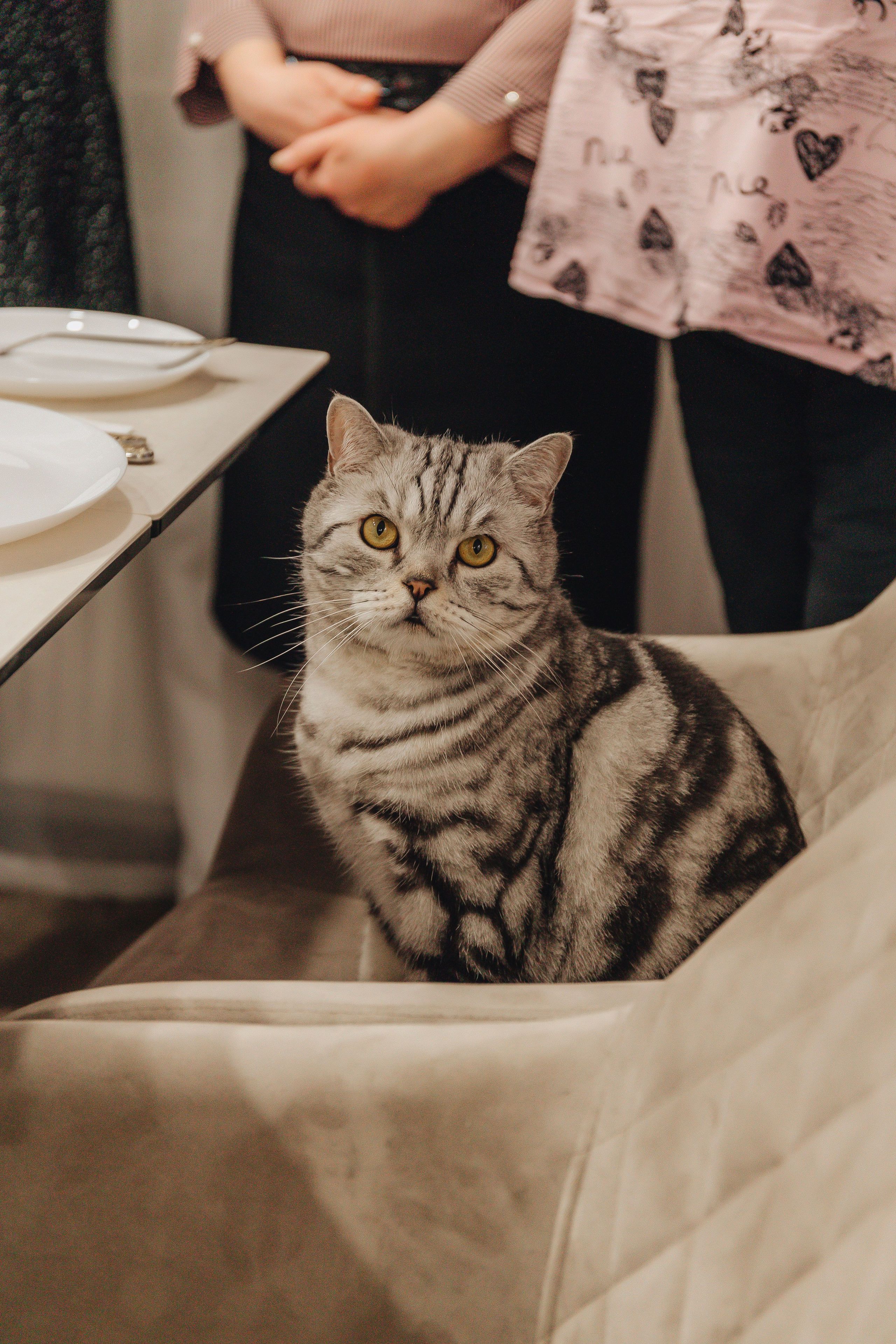 Выписка Варвары. Свадебный и семейный фотограф Пушкин Царское Село СПБ Питер Санкт-Петербург и Рязань Ольга Козлова