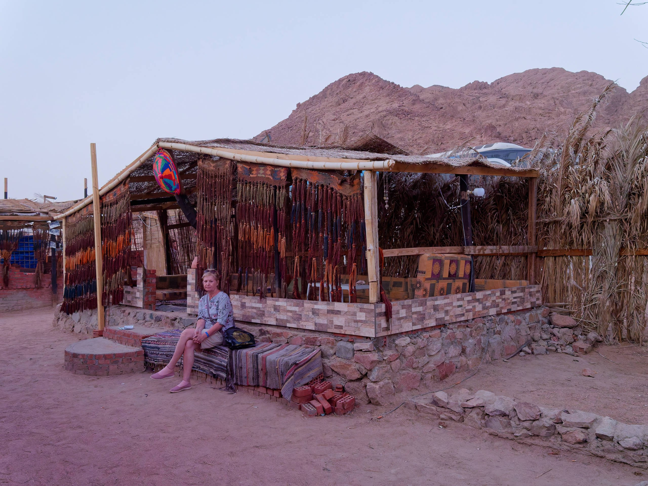 Шарм-эль-Шейх 2022, сафари. Избранные фотографии