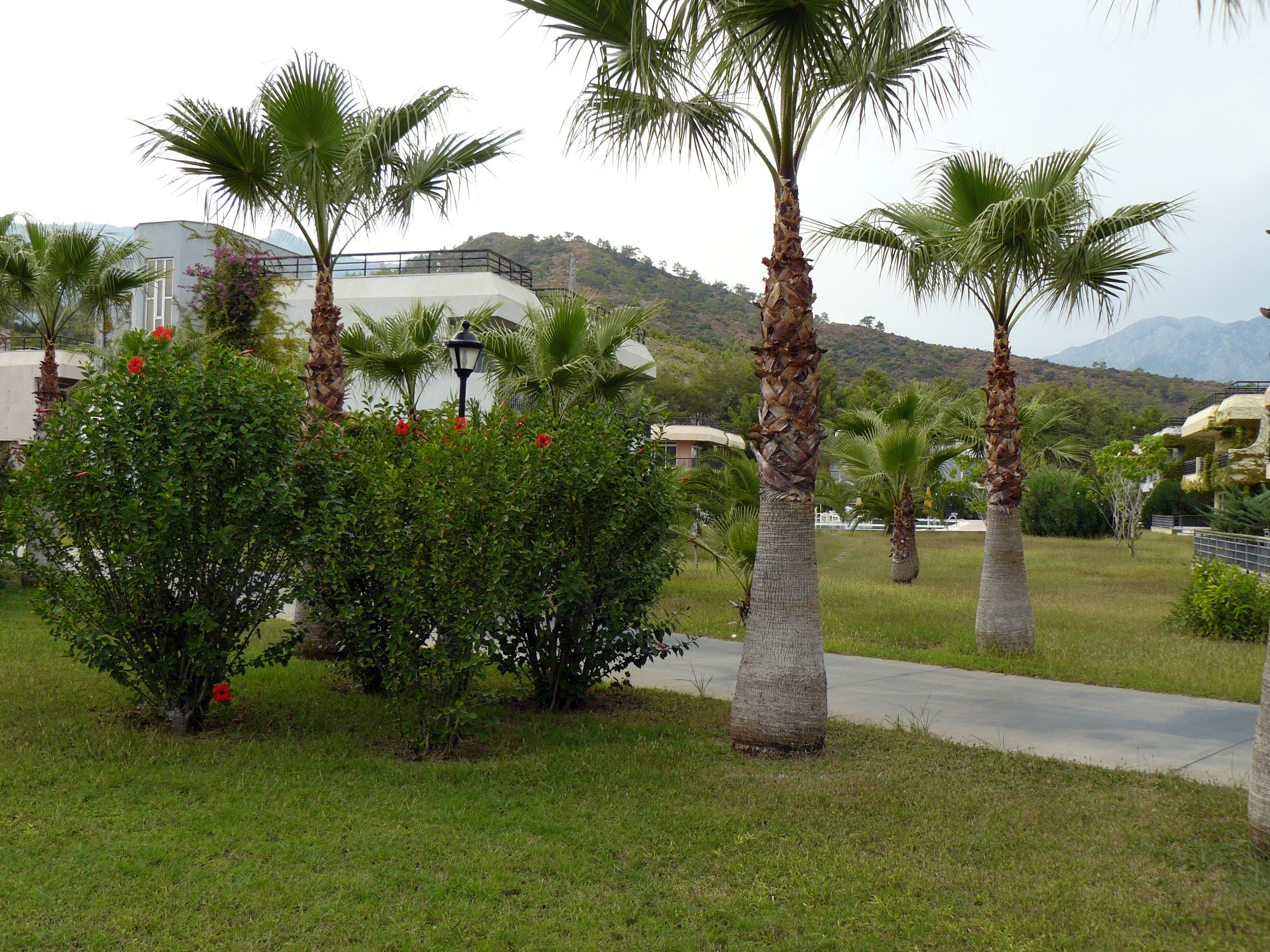 Кемер, Чамьюва 2008. Избранные фотографии