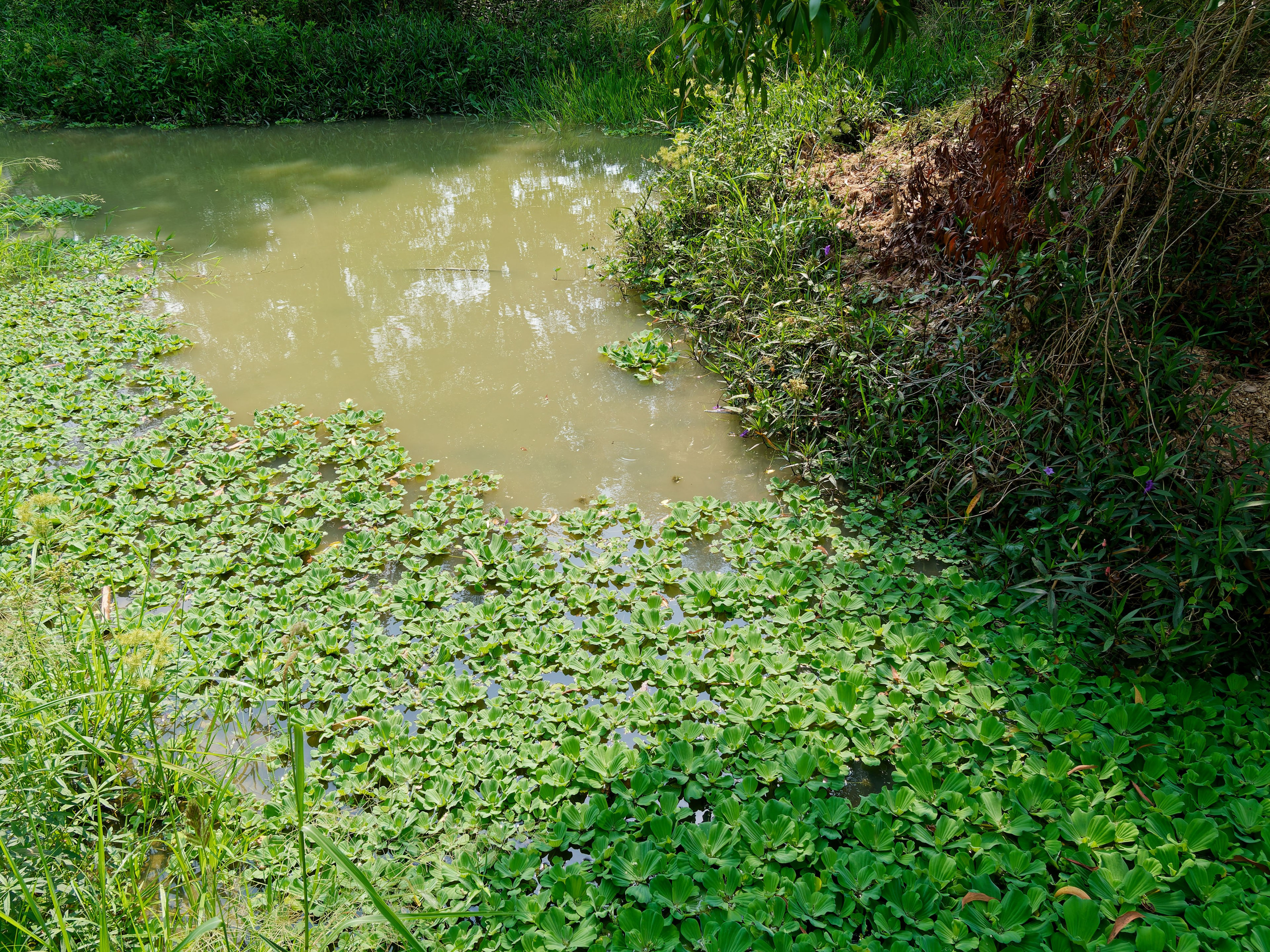Хайнань 2026, Санья, Торговый центр «Joy City». Фотопрогулки по Миру