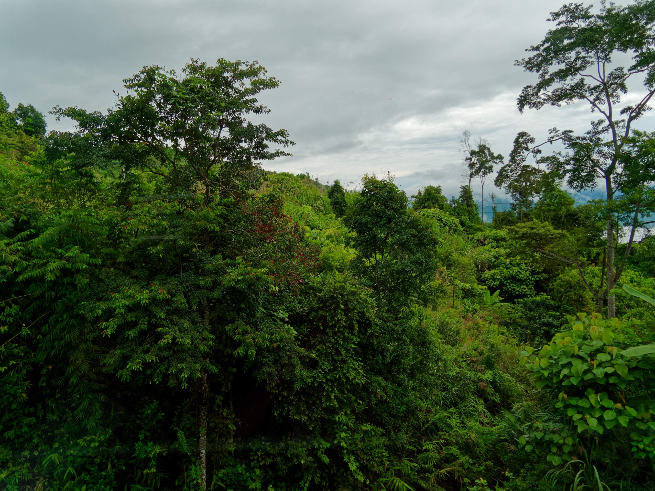 Далат 2023. Избранные фотографии