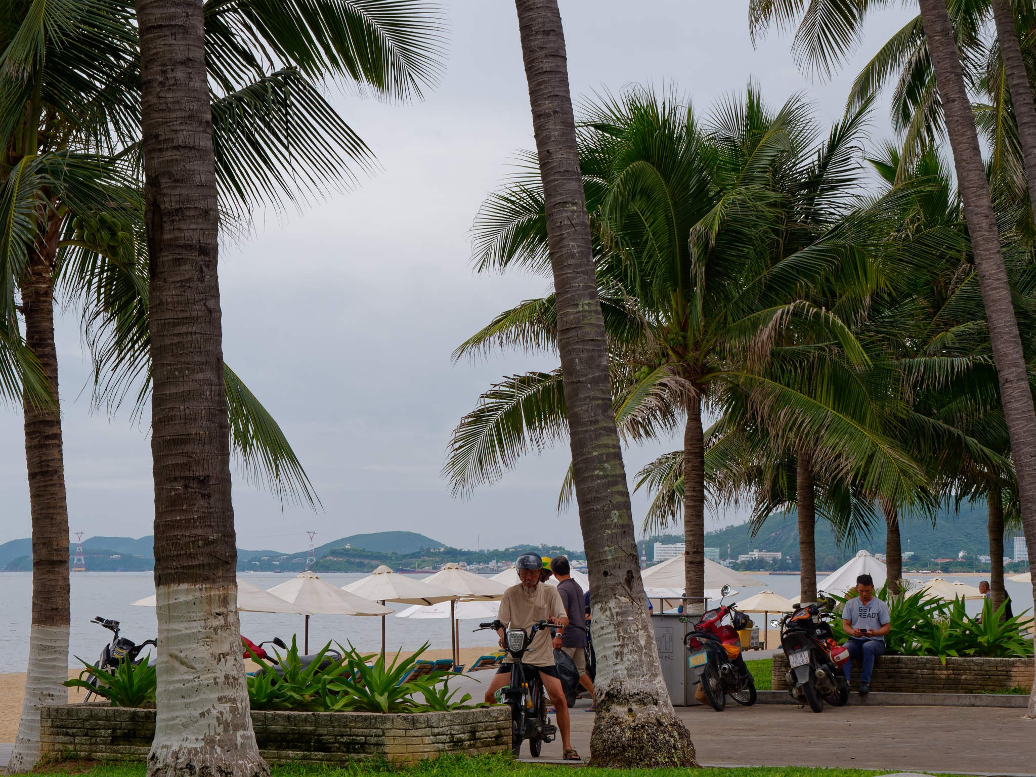 Нячанг 2023. Избранные фотографии