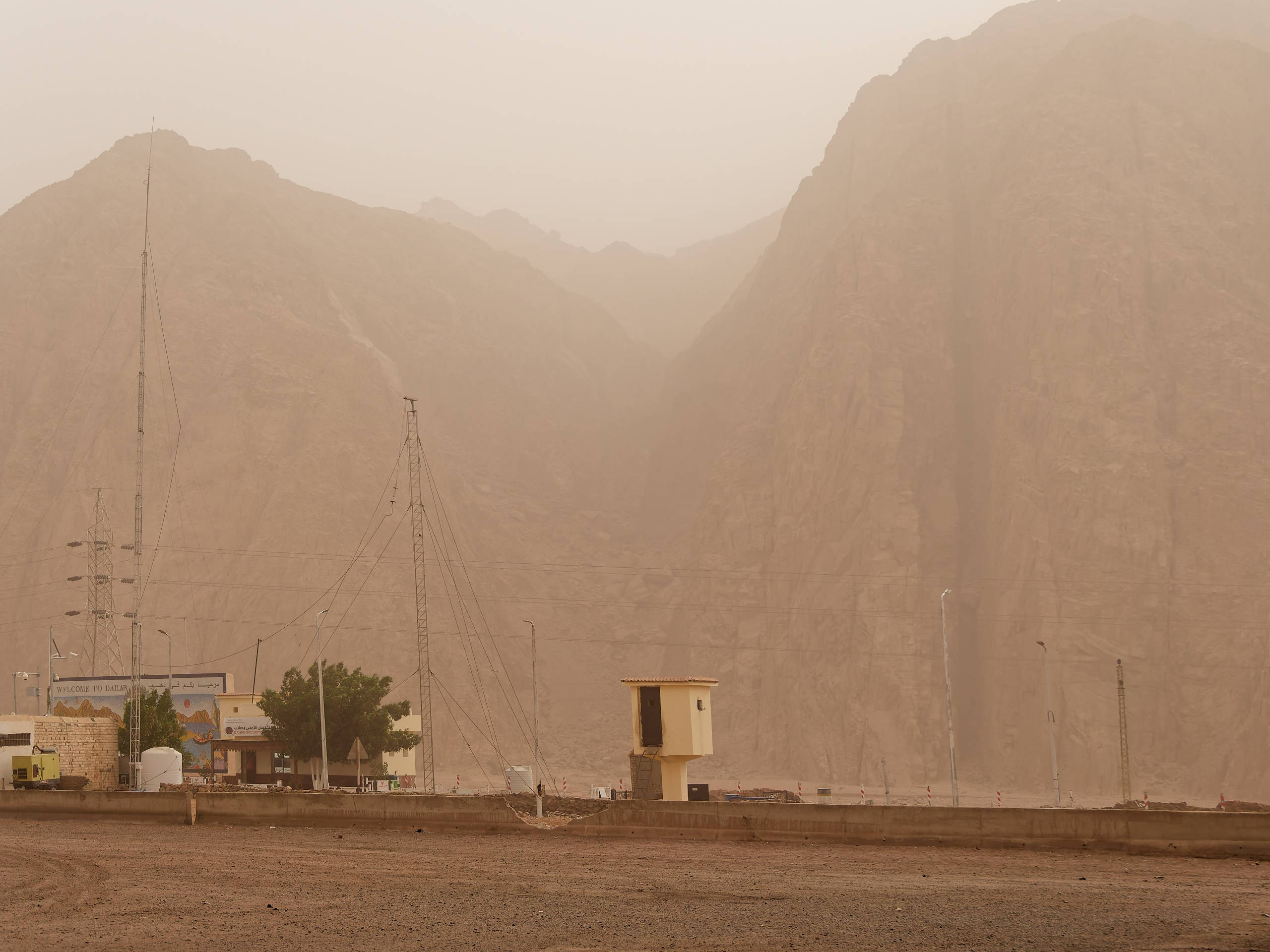 Шарм-эль-Шейх 2022, сафари. Избранные фотографии