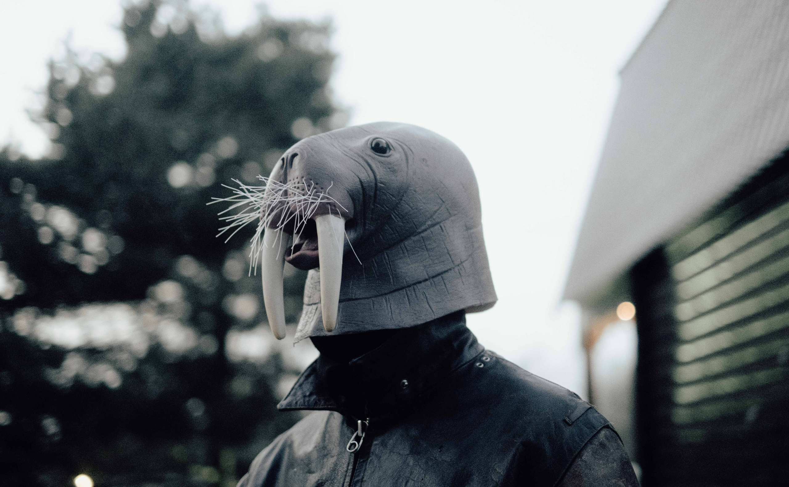 «52 герца». Фотограф Аннё| Москва