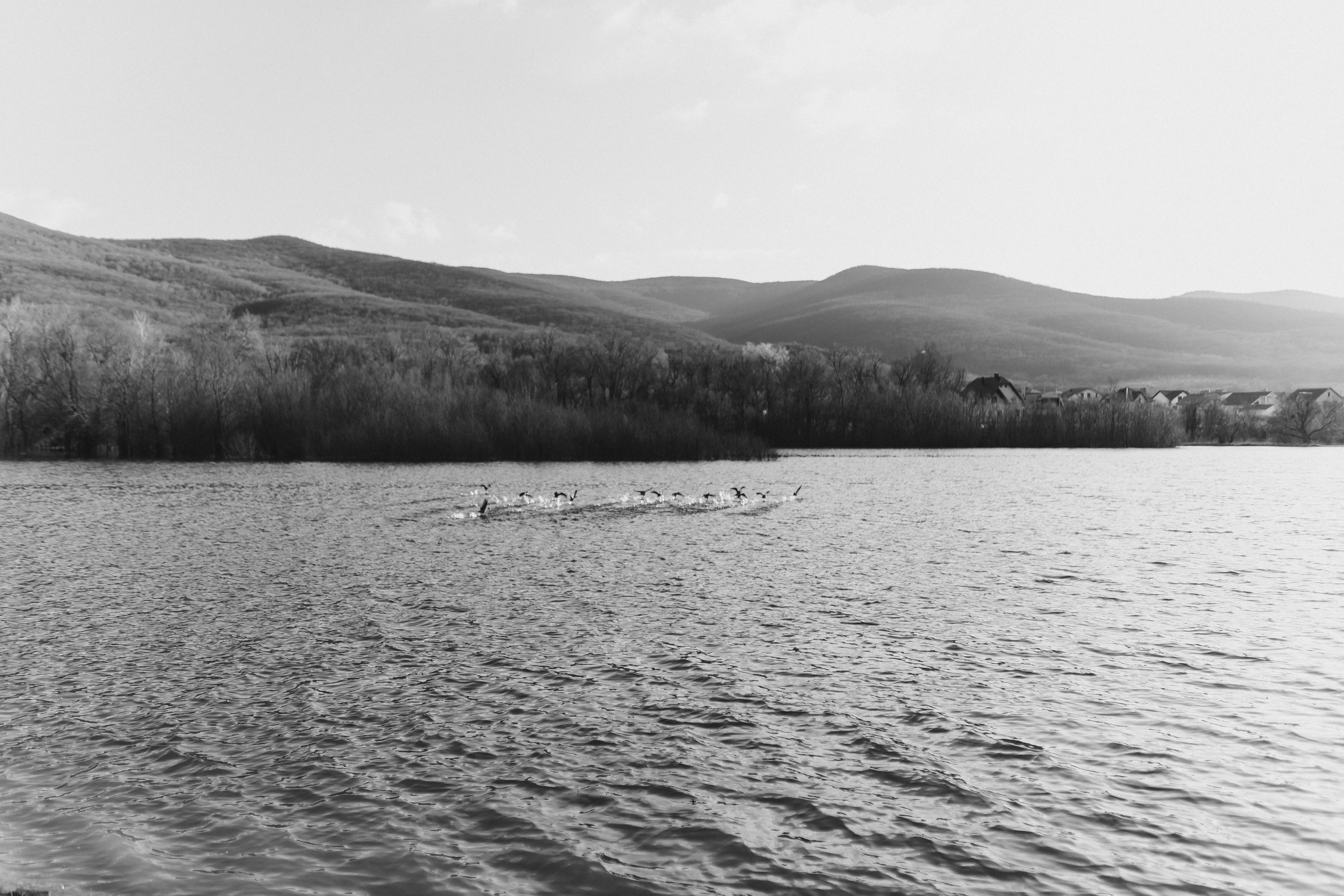 Kate & Nikita. Свадебный фотограф в Севастополе и Крыму| Tanya Sher