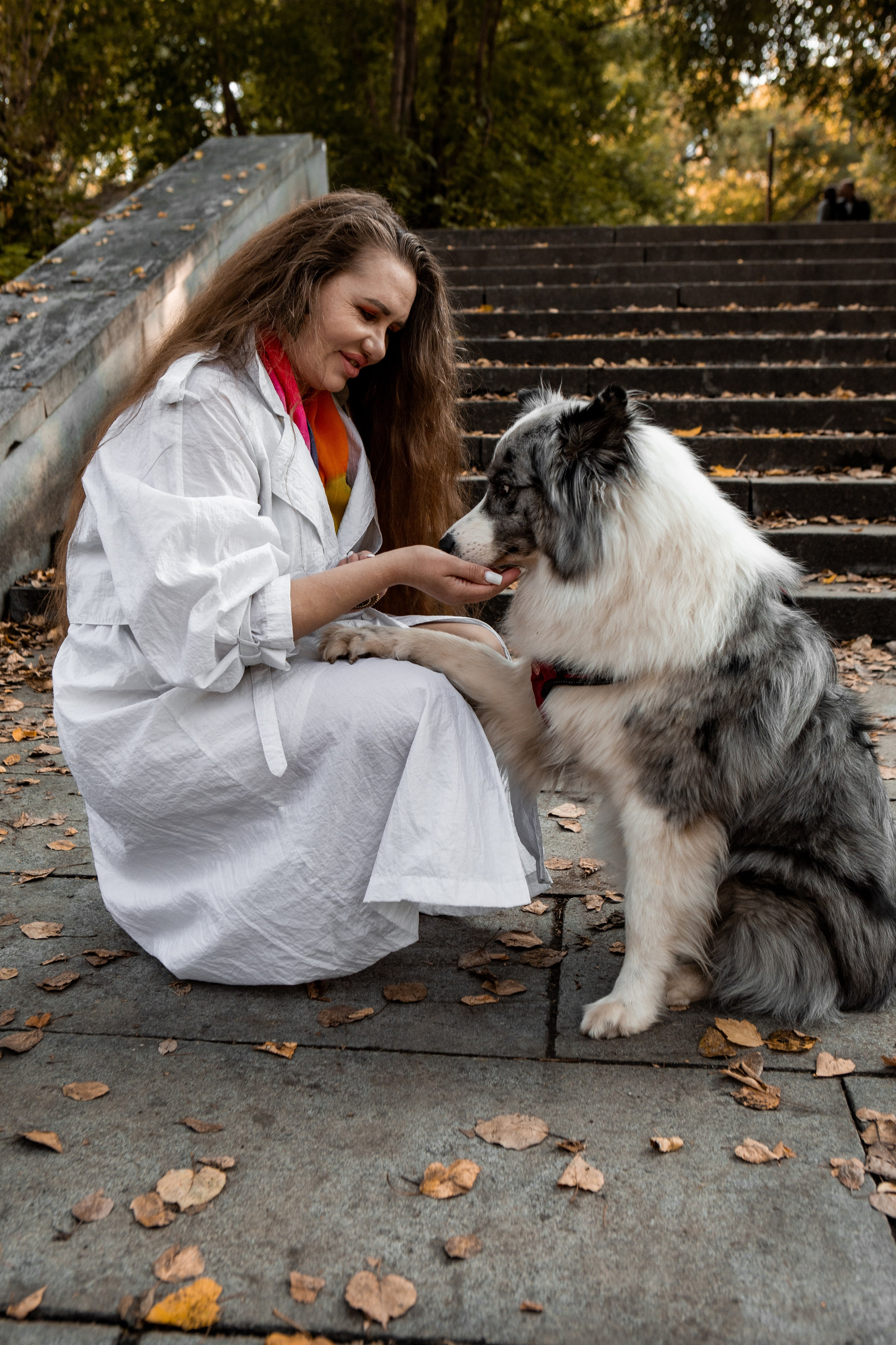 Золотая Осень. Фотограф Екатерина Голицына