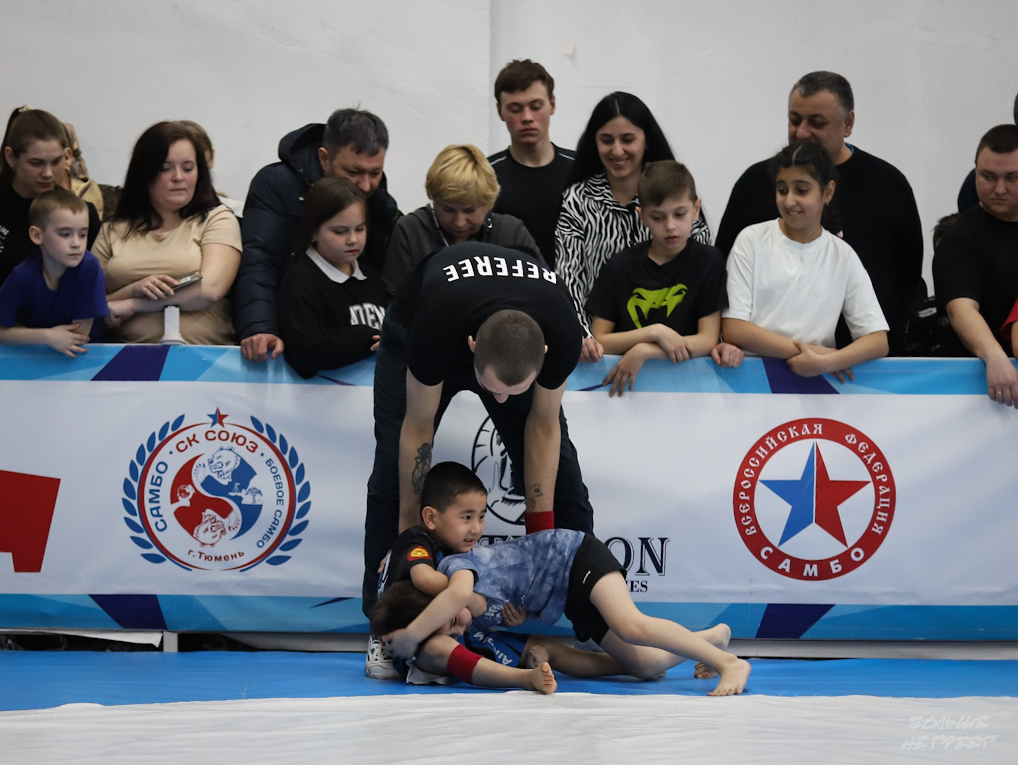 GORILLA PRIDE CUP. Больше не греет