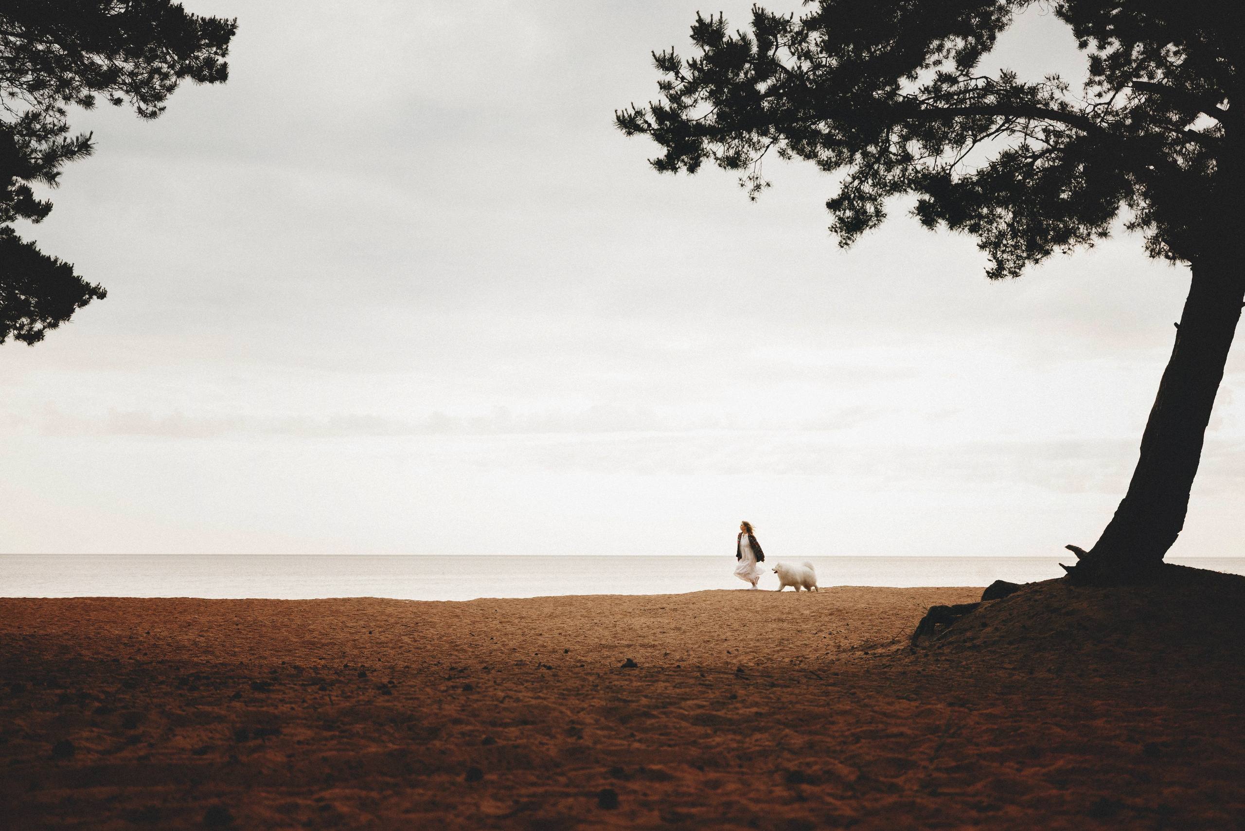 Женя и Цезарь. Фотограф анималист Осипчикова Мария