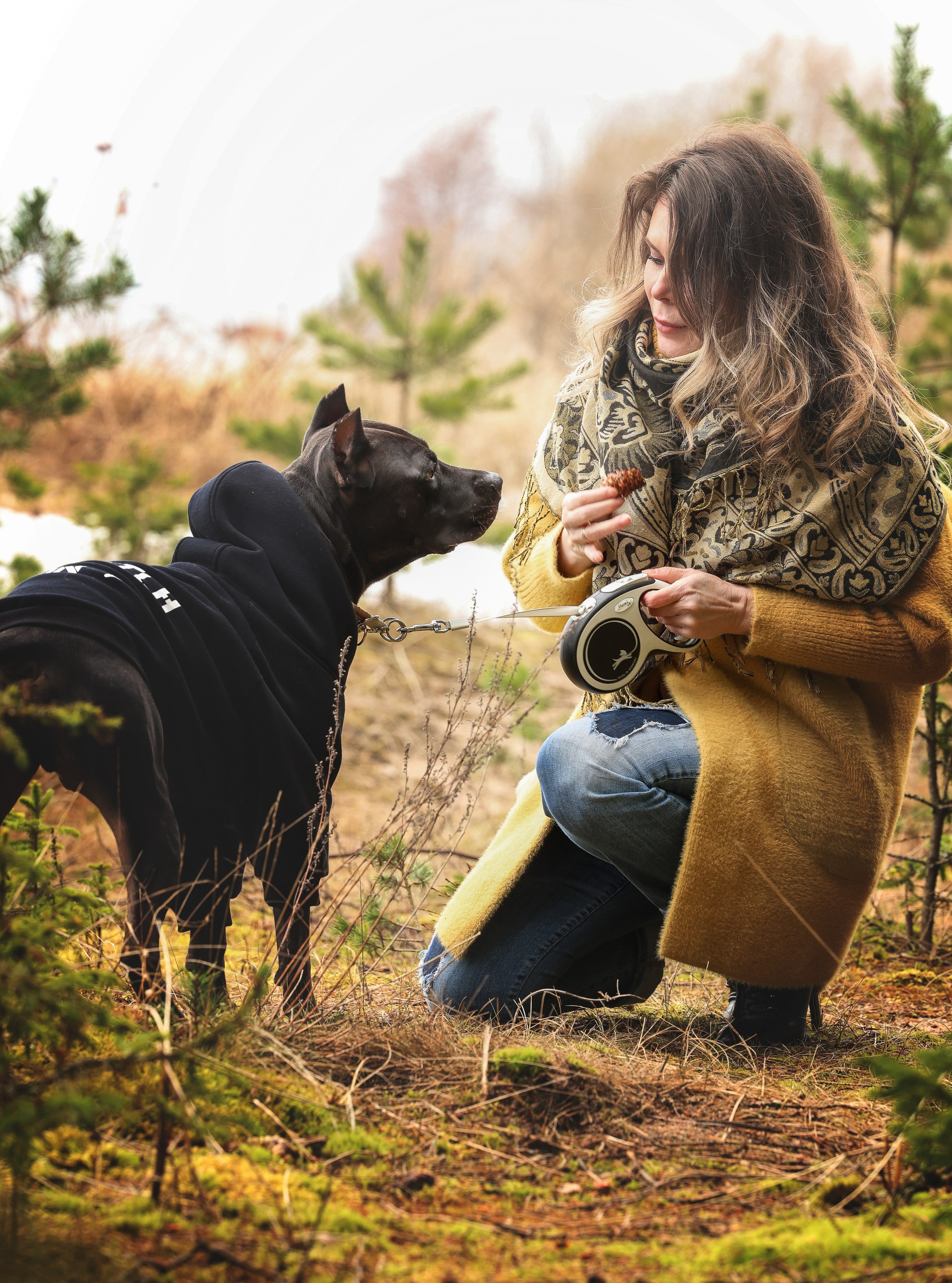 Собаки и люди. Главная