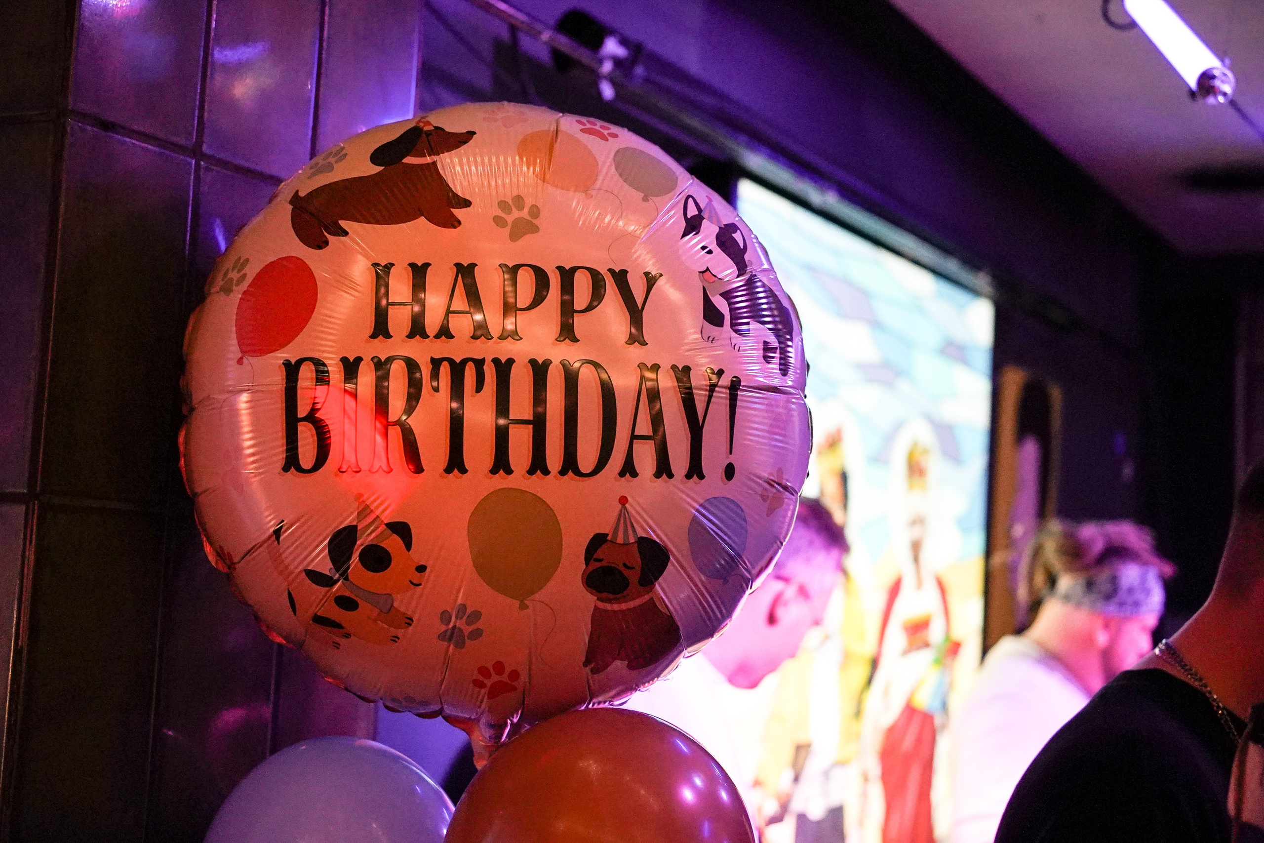 Бар Собаки в тумане. Фотограф