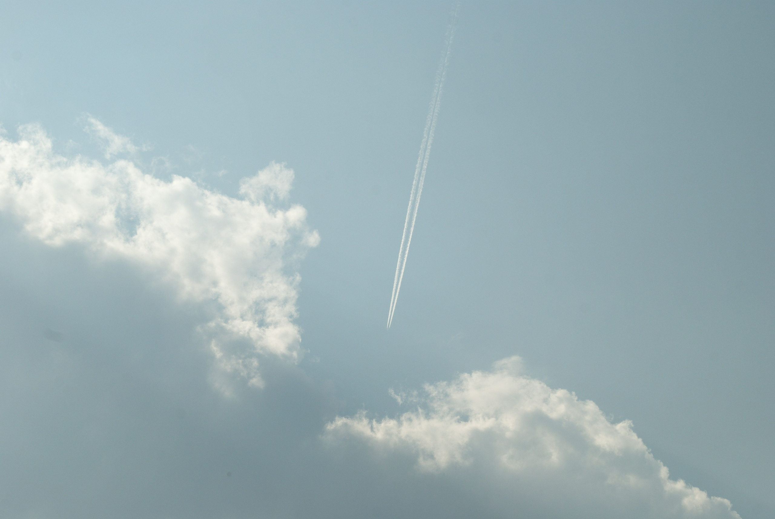 Этот прекрасный мир