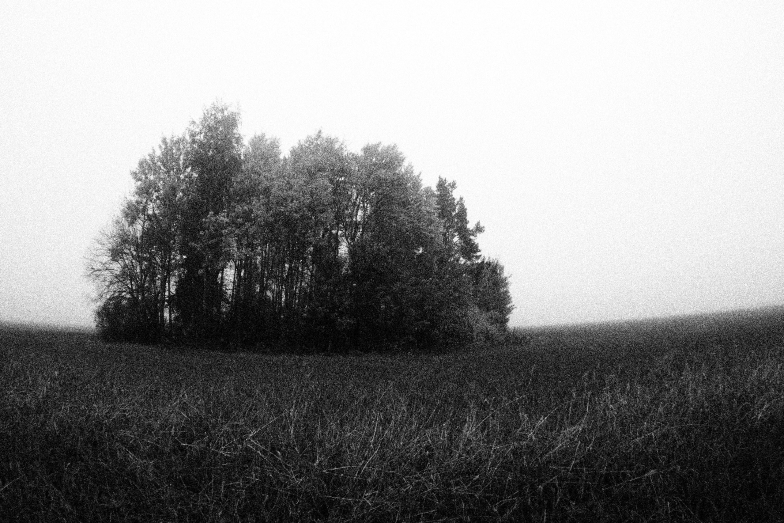 Промежуточные моменты (2023)