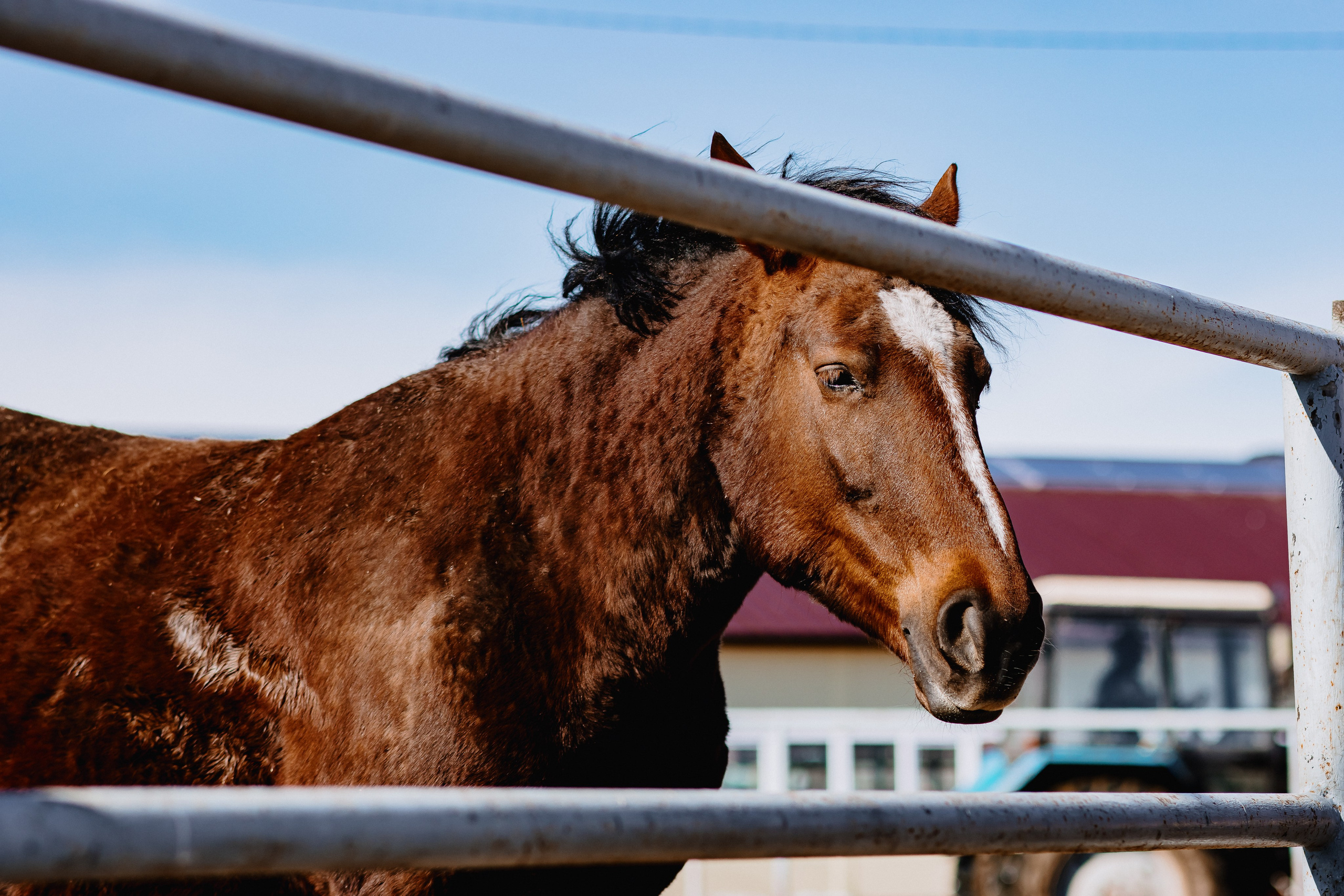 О т з ы в ы. ФОТОГРАФ ЕКАТЕРИНБУРГ