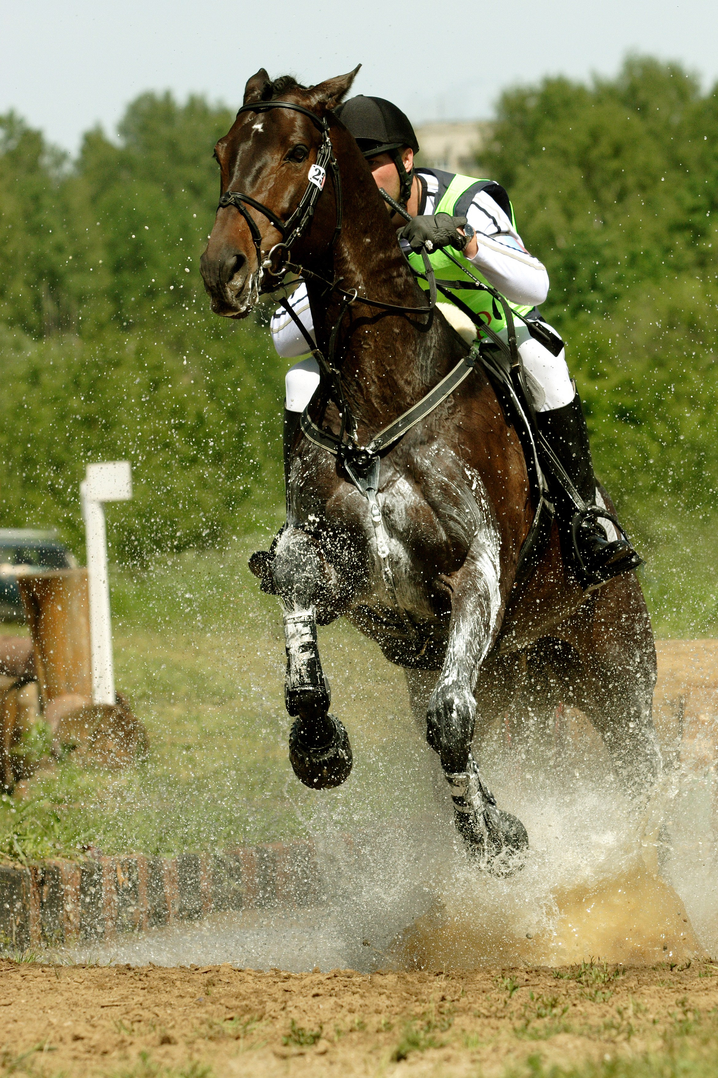 Репортаж. Фотограф Лагутин Анатолий