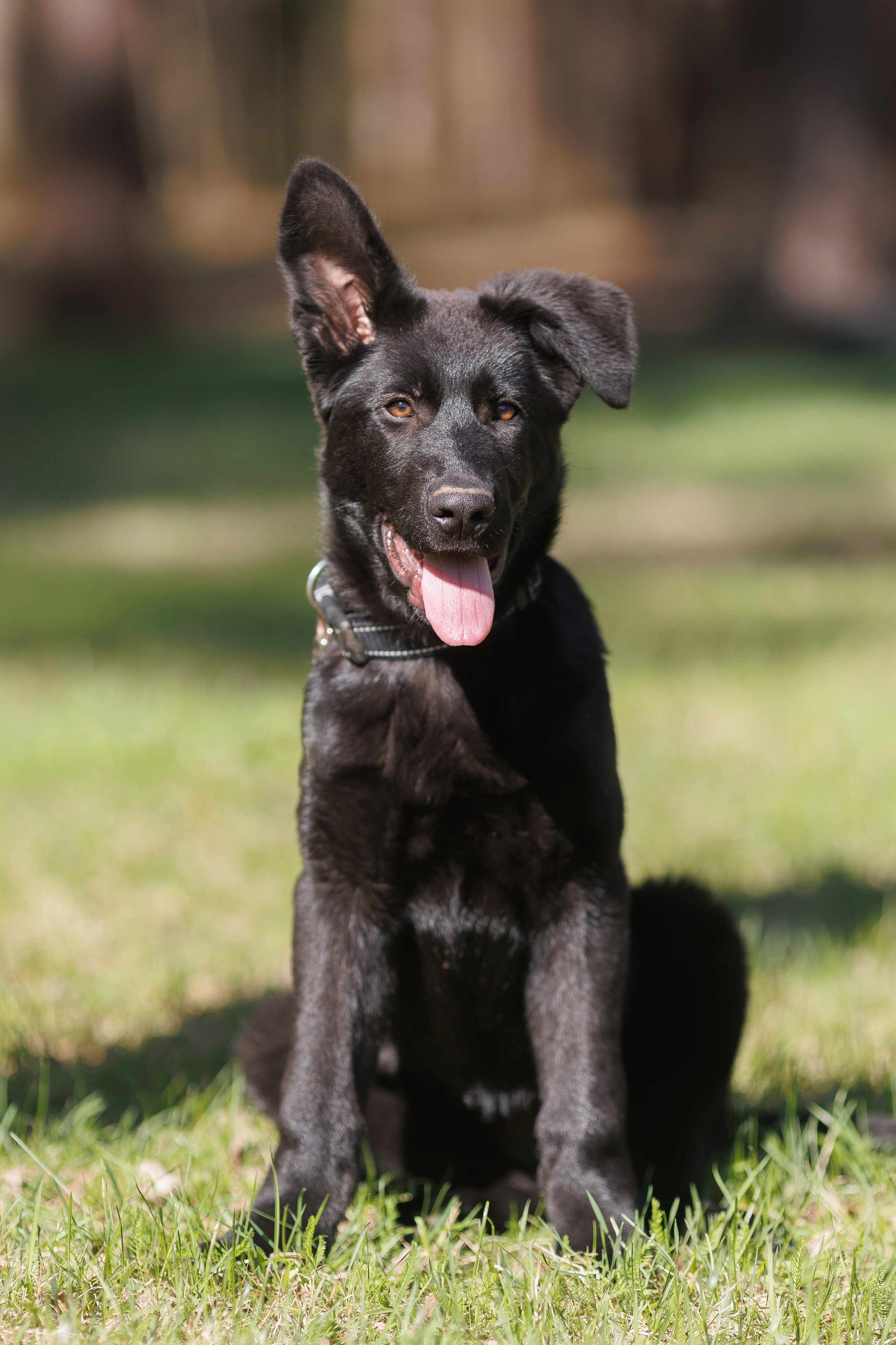 Репортажный фотограф Борис Геер