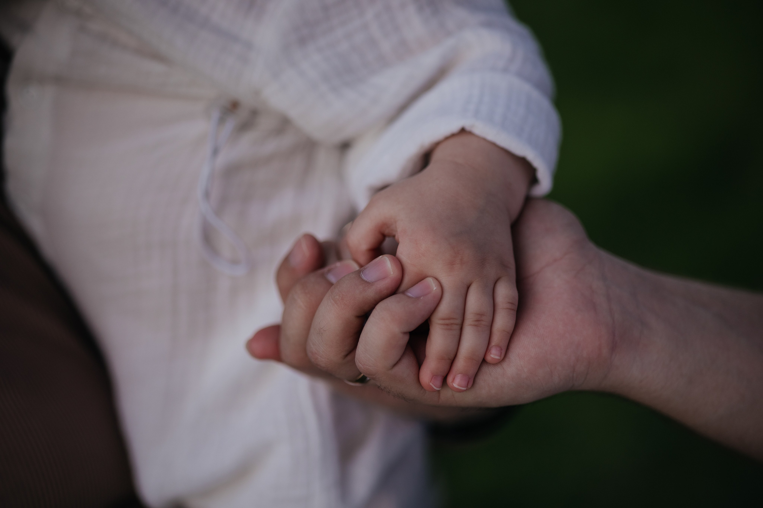 Прогулка в Дубовой роще. Фотограф Крохин Олег