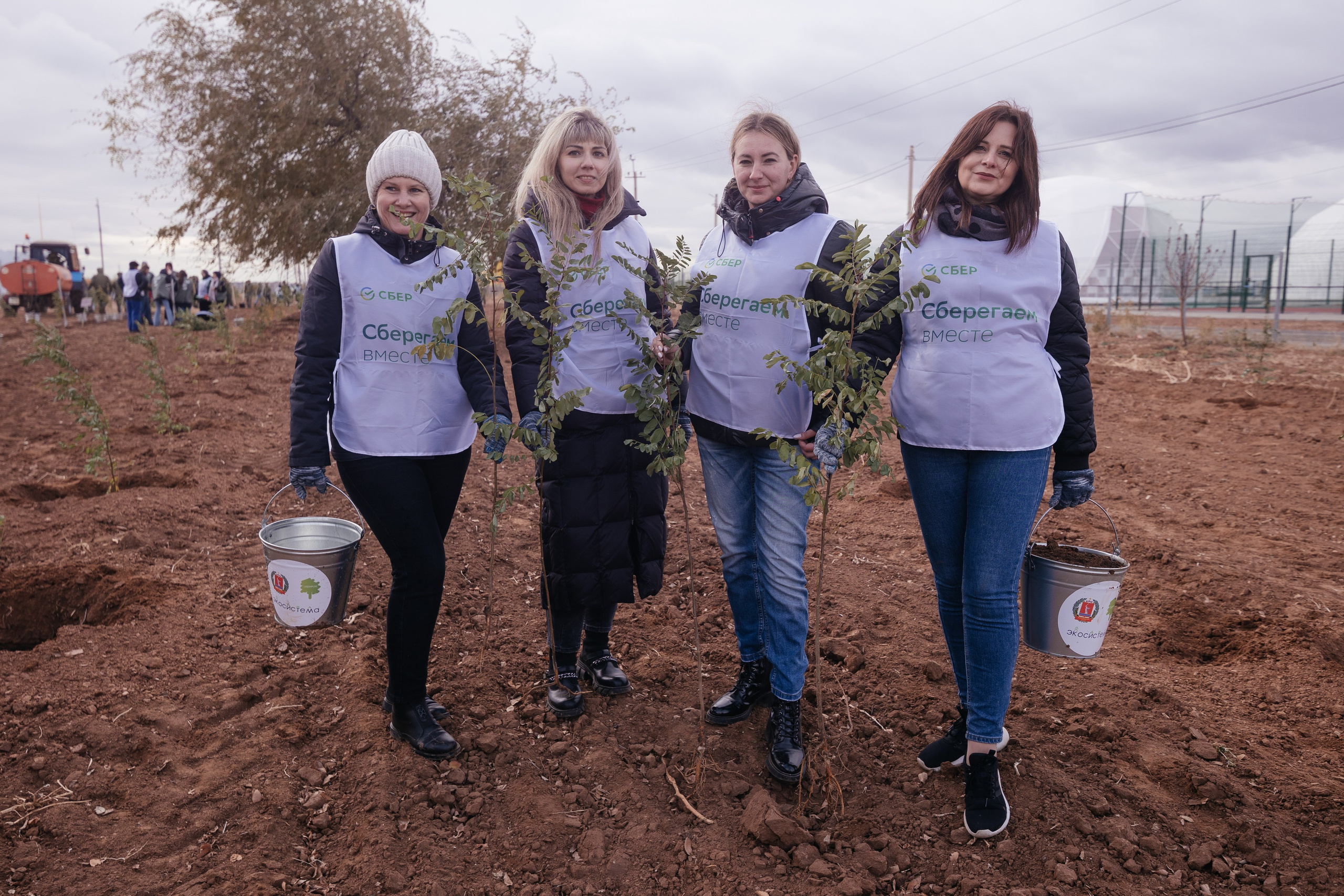 Сохраним лес. Фотограф Крохин Олег