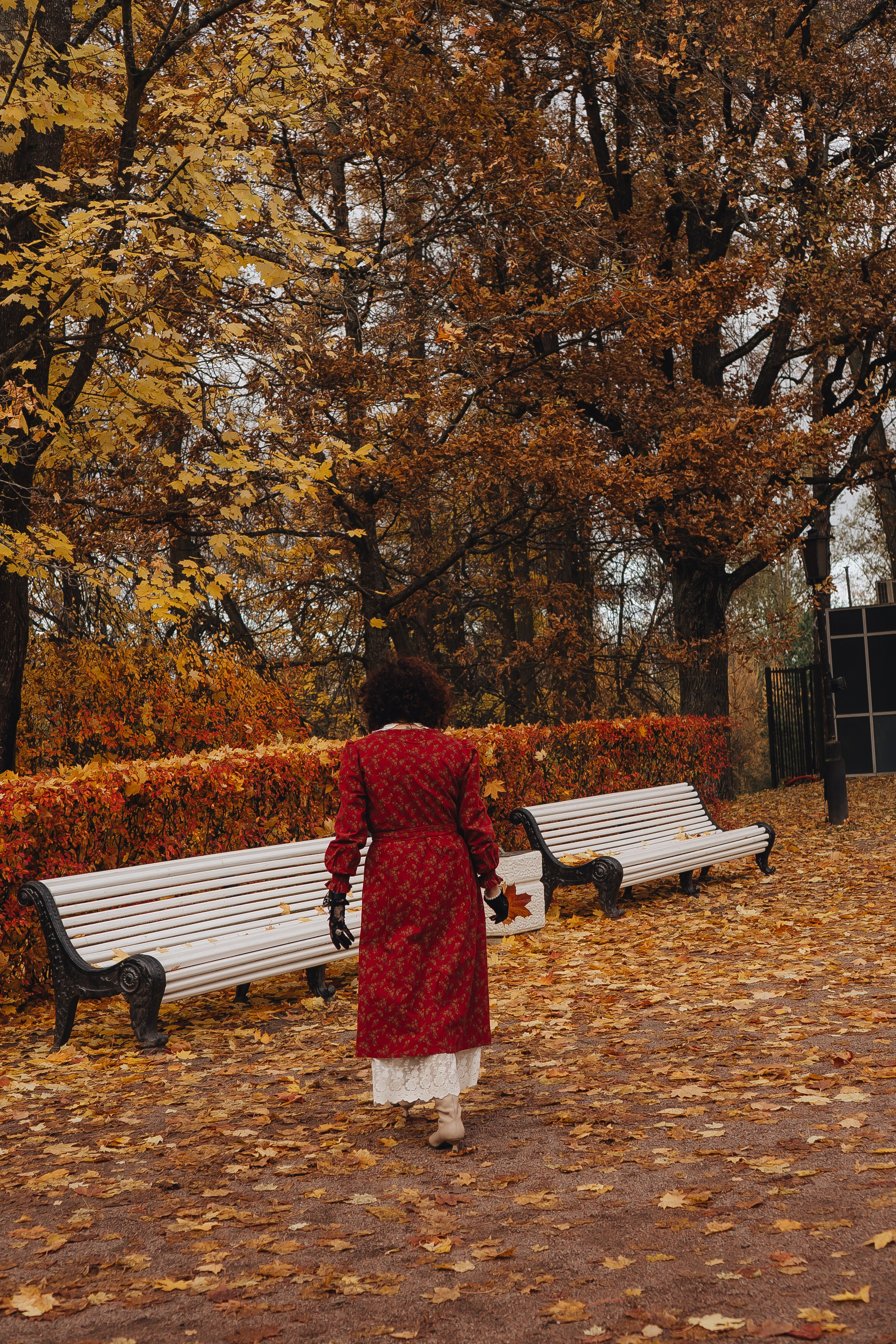 Осенний парк. Профессиональный фотограф, Санкт-Петербург — Виктория Богомолова
