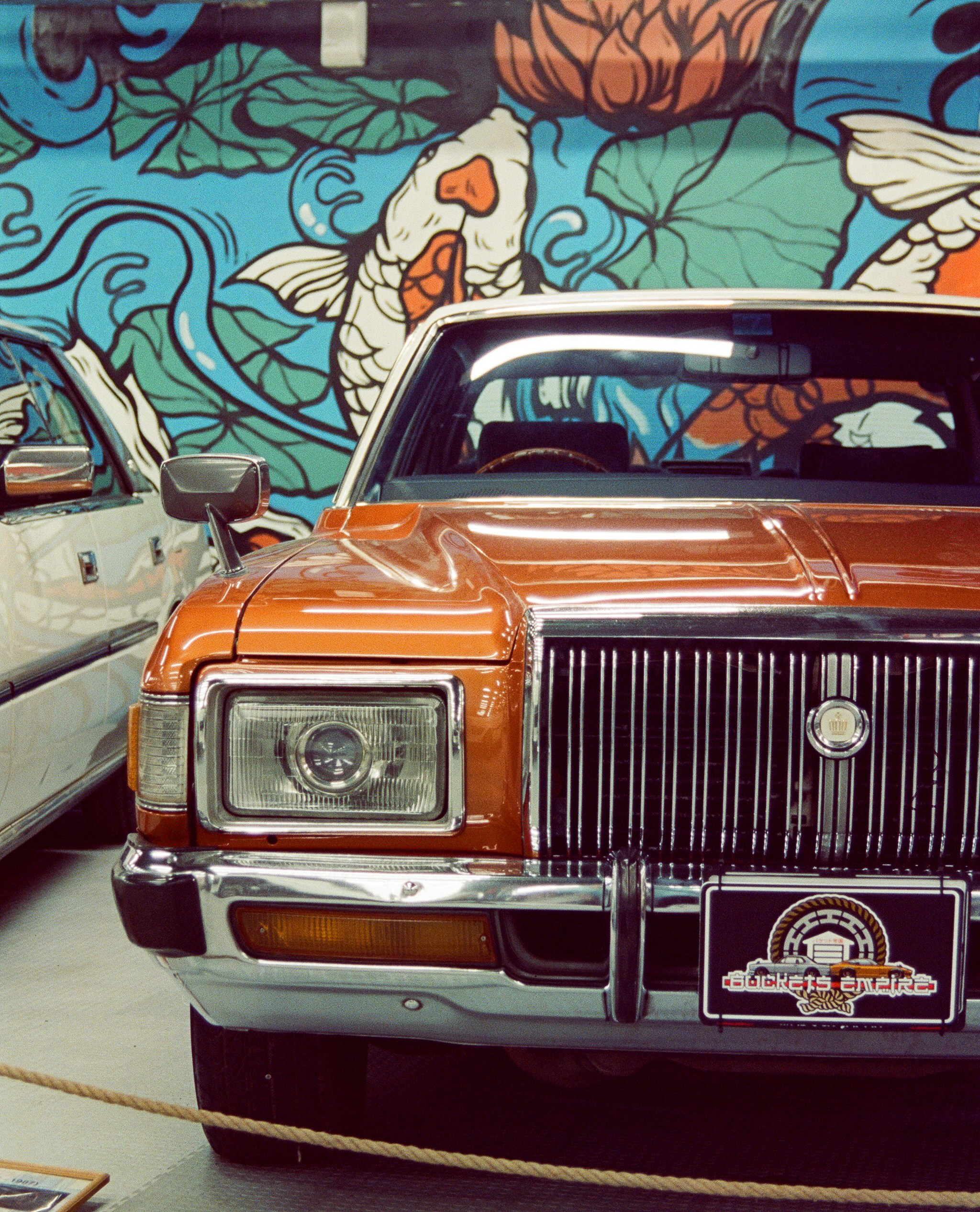 #05пленка. Kodak Vision 3 500T. Minolta Dynax 5. 28-80. Фотограф Наталья Вершинина