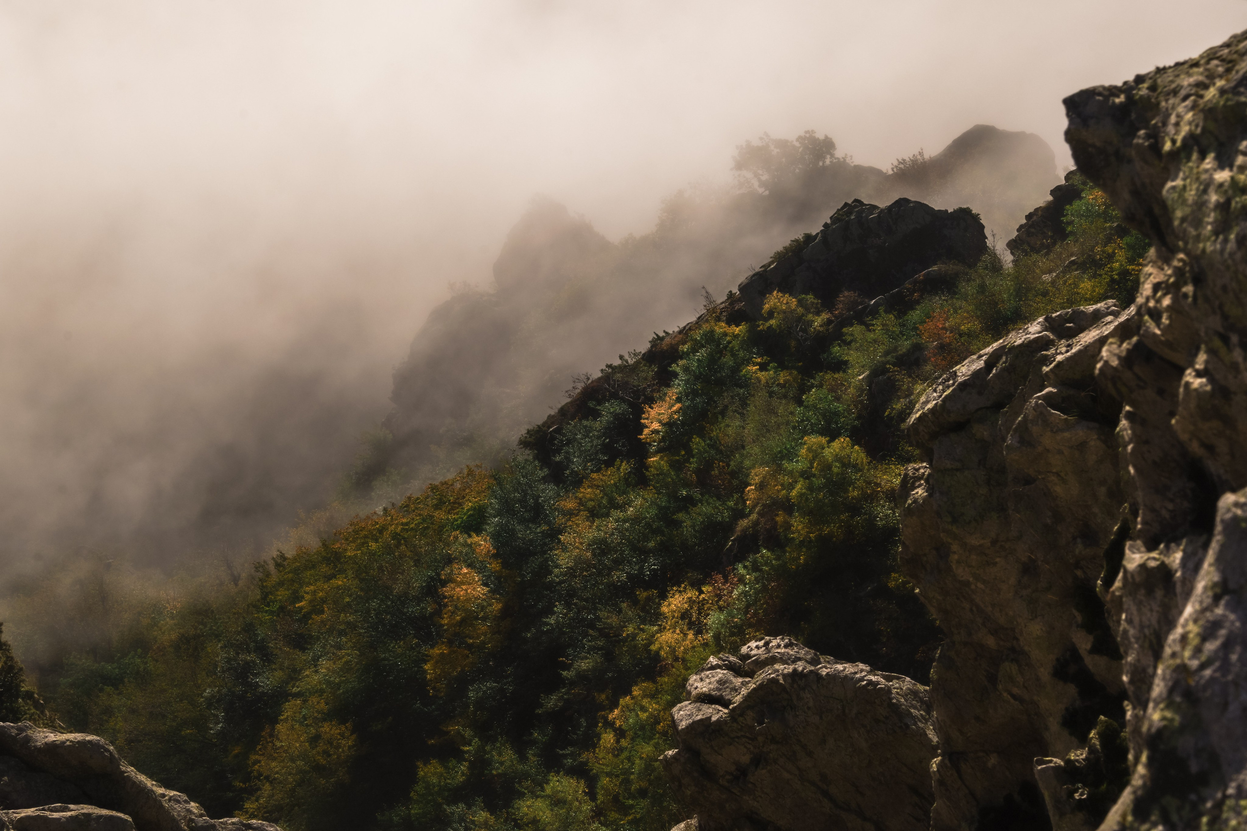 В платьях на Бештау. Курортный фотограф и видеограф на Кавказе Ксения Перегрин