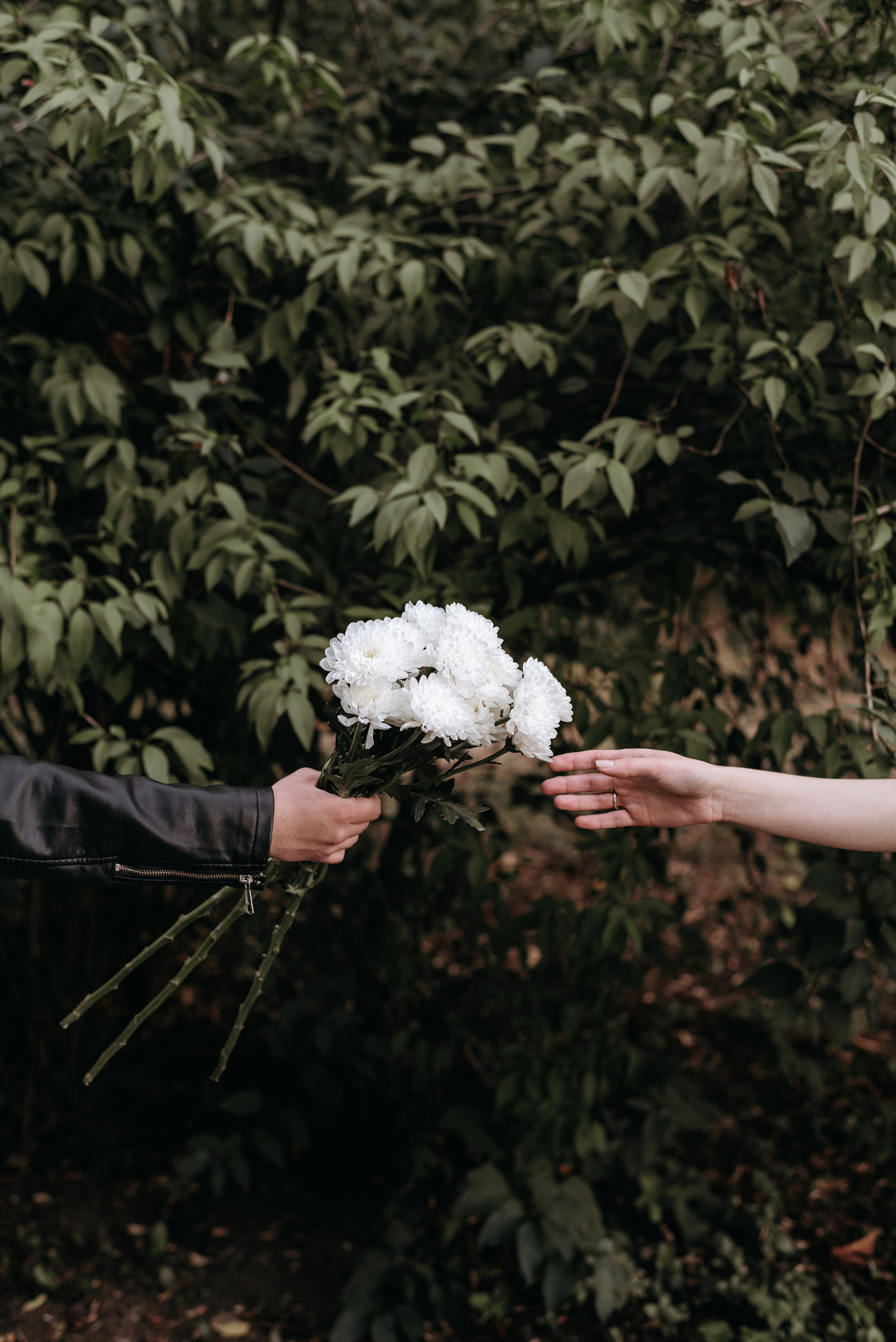 Galleria. Свадебный фотограф в Минске Вадим Бурчик