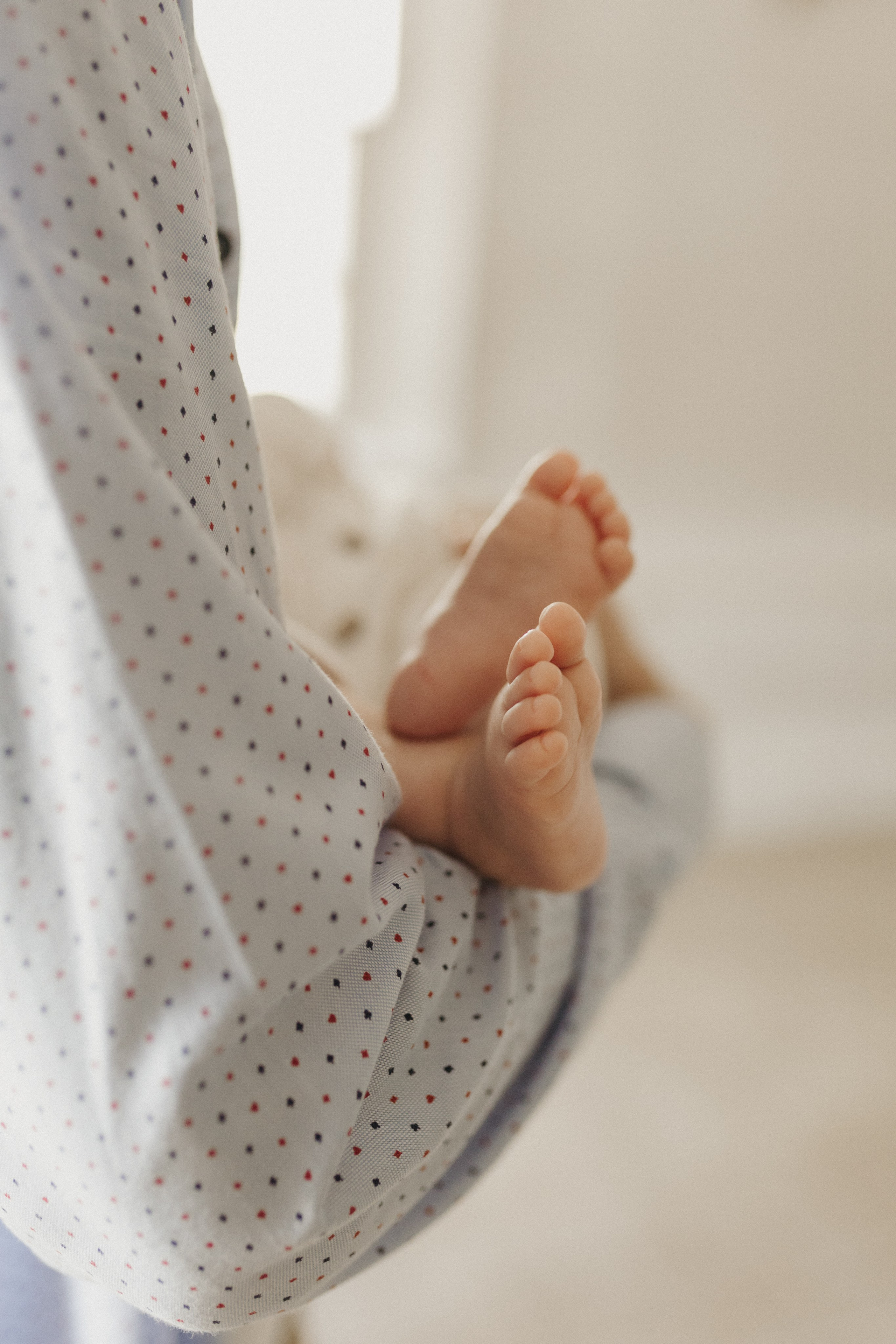 Василиса. Миронова Анастасия