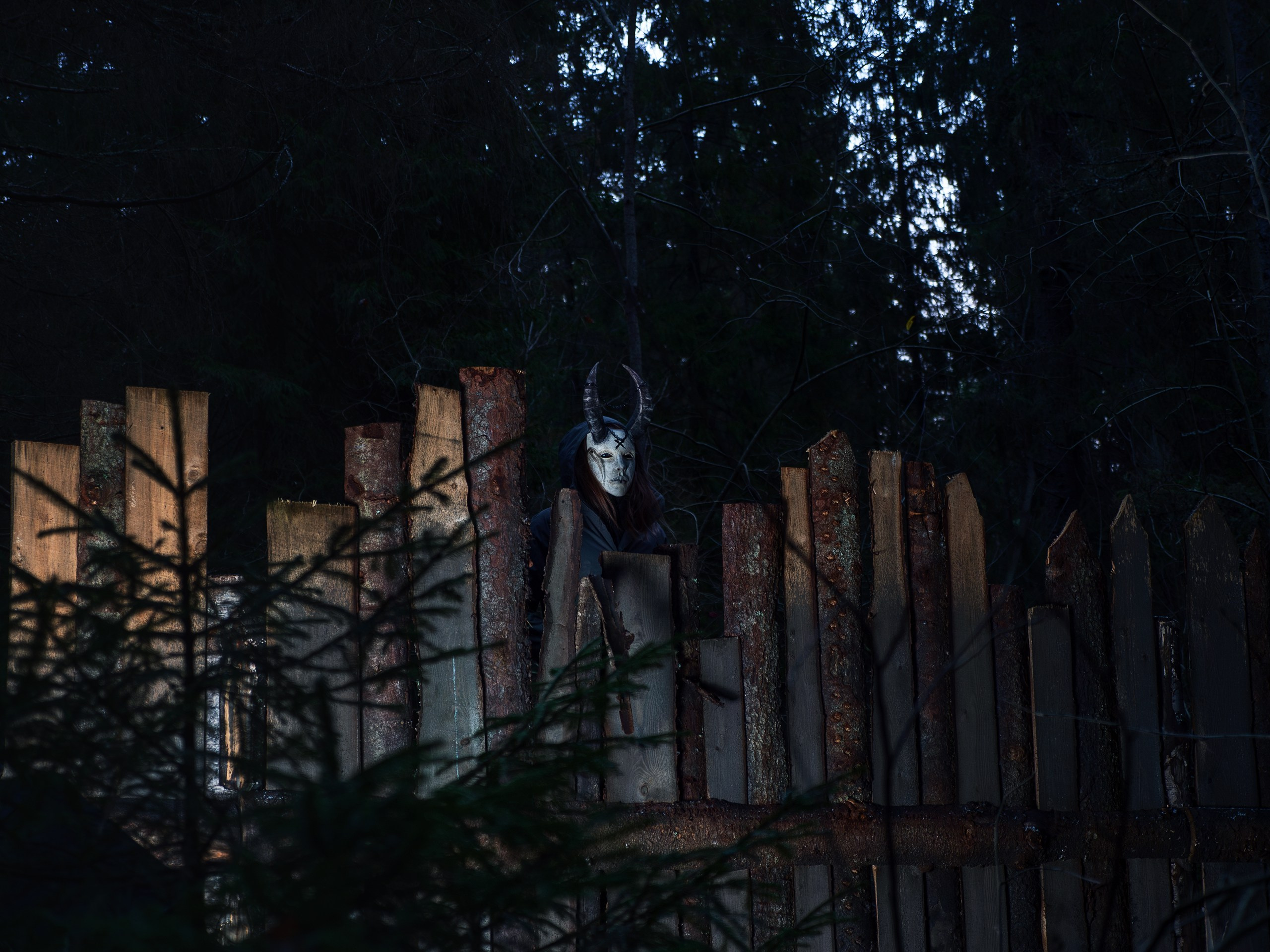 Хэллуин. Фотограф анималист Никита Натальный