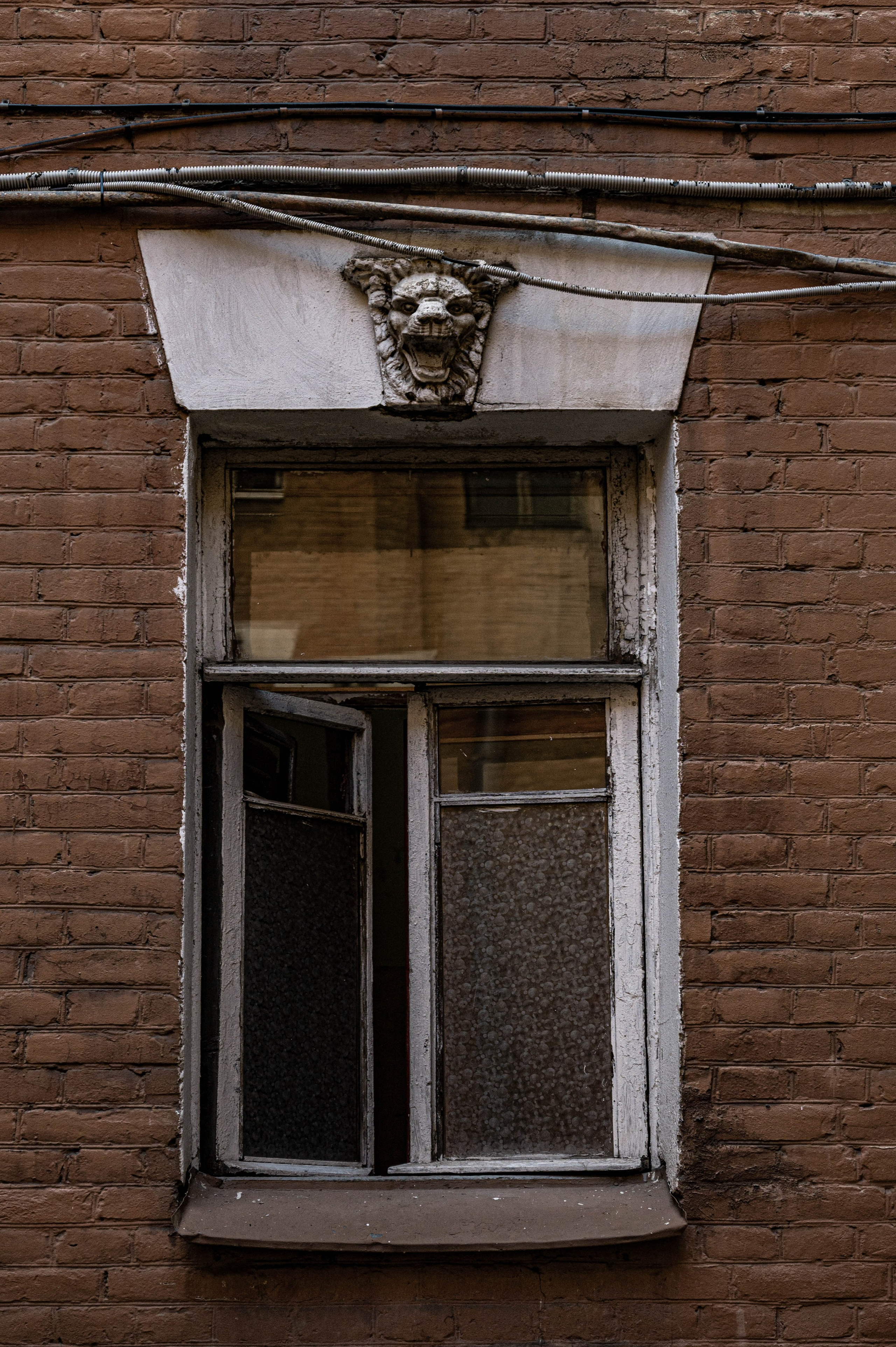 Репортажная фотосъёмка в Петербурге | Портретный фотограф Ольга Берёза. Экскурсовод в Санкт-Петербурге | Ольга Колоскова