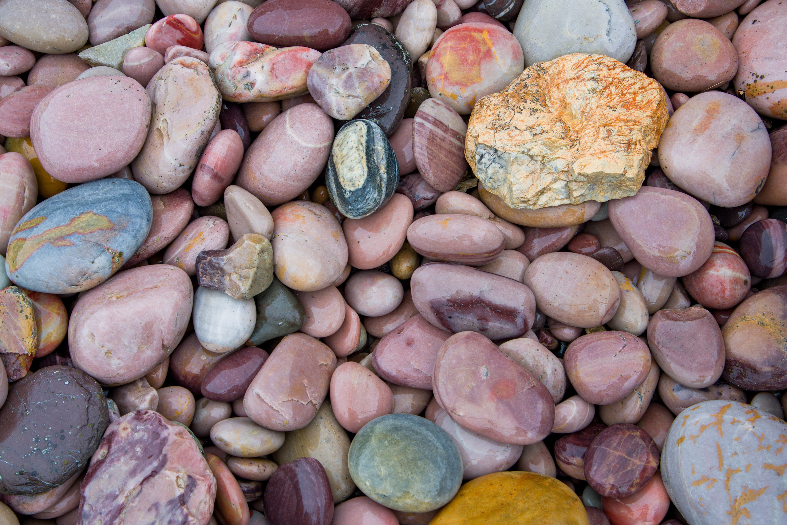 Пляж Мокрых Камней. Северные Ночи