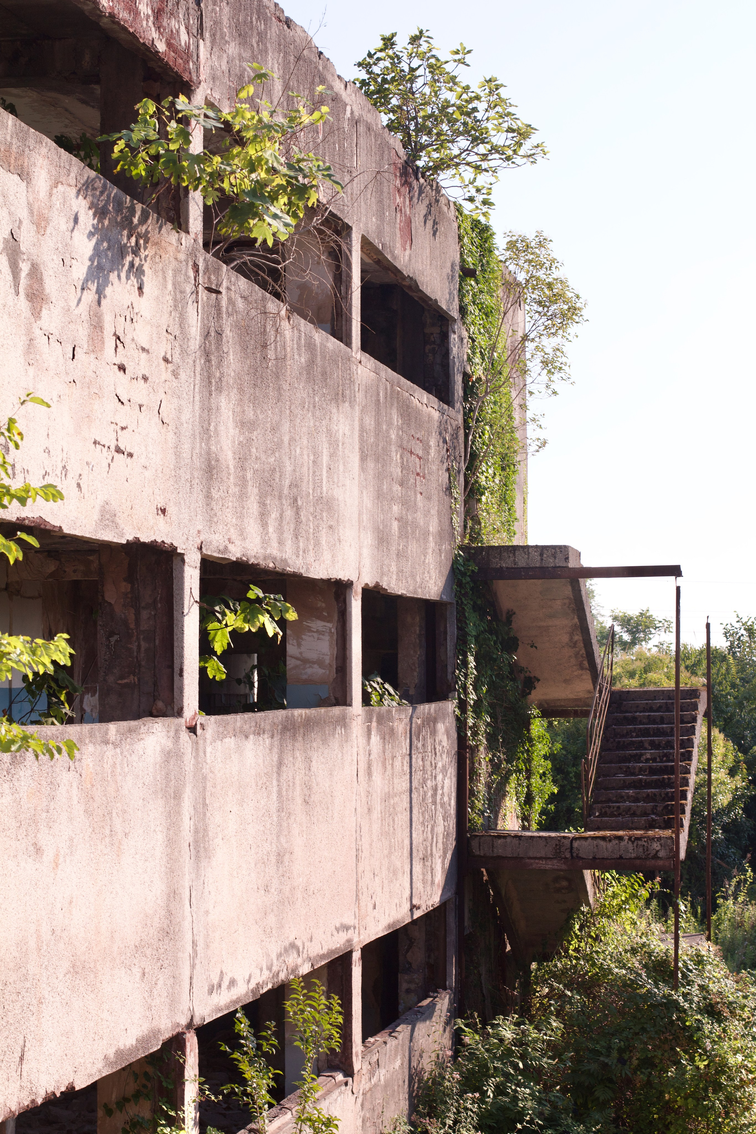 Абхазия. Школьные выпускные альбомы в Москве Марина Николаева