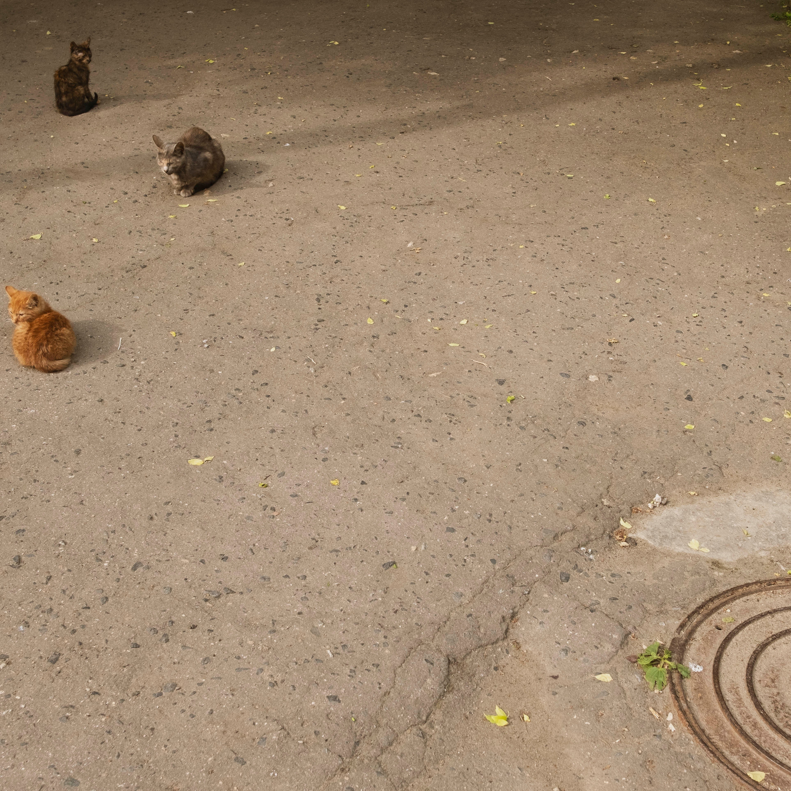 Серпухов, 2020. Портретный фотограф в Москве Евгения Яковенко