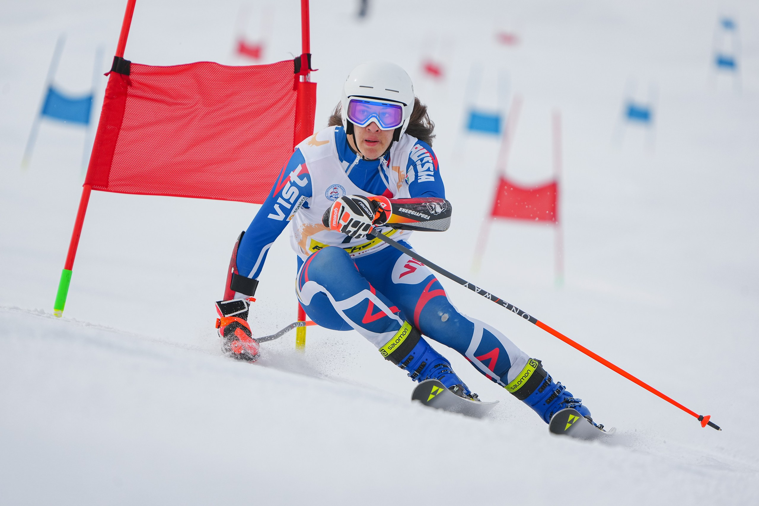 GS (Giant Slalom) - Слалом-гигант. Соревнования по горнолыжному спорту. Московская область, Шуколово