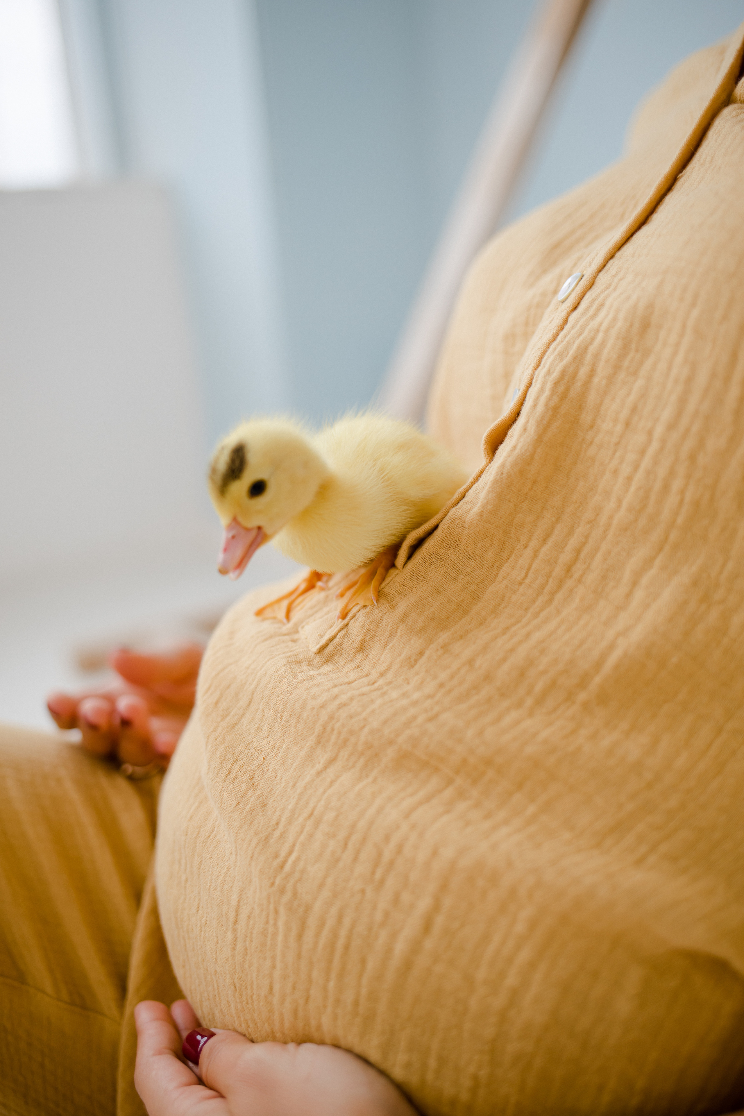 В ожидании…. Семейный и детский фотограф в Москве Кузьмина Мария