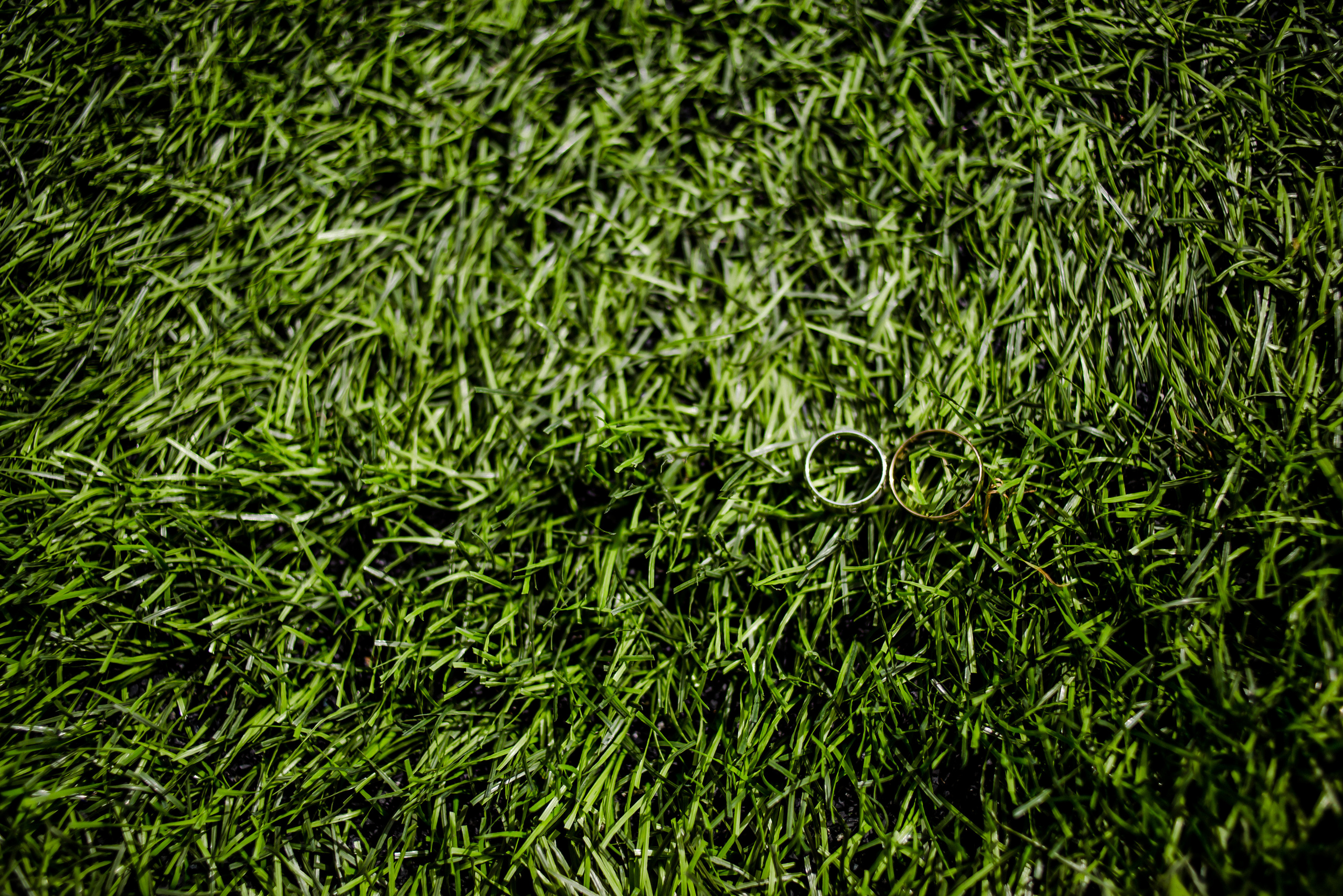 Свадьба 1 августа. Семейный и детский фотограф в Москве Кузьмина Мария