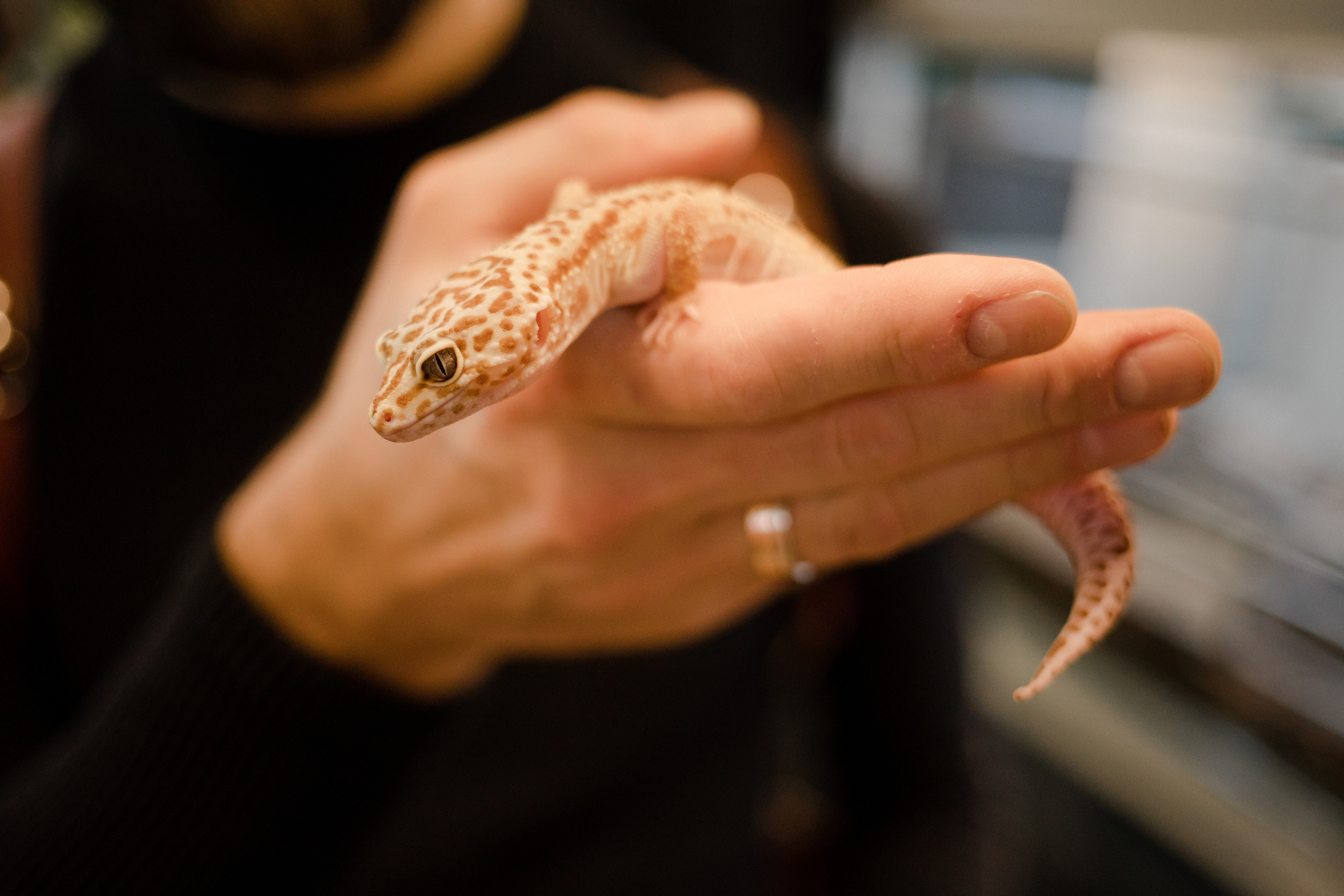 День рождения. Семейный и детский фотограф в Москве Кузьмина Мария