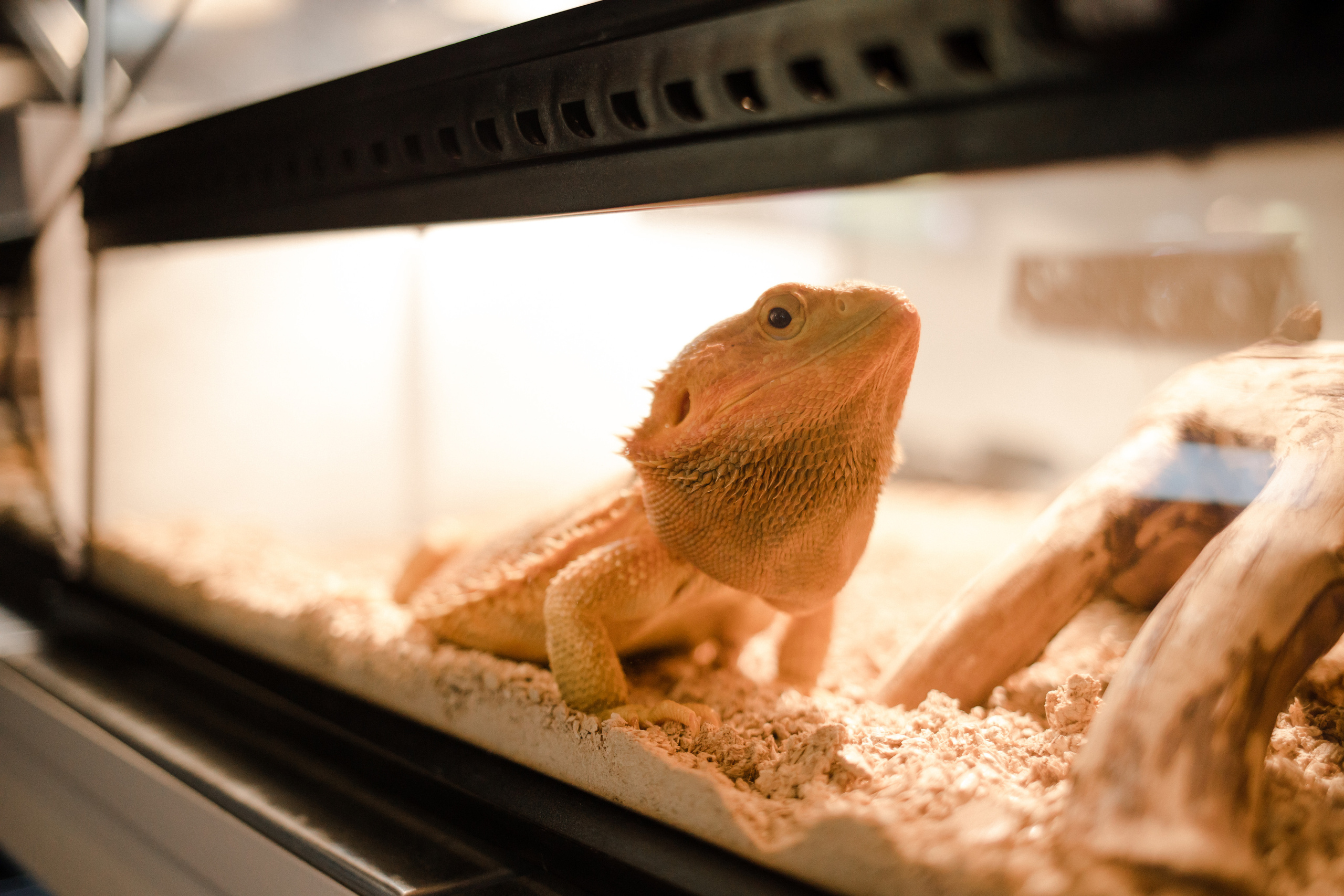 День рождения. Семейный и детский фотограф в Москве Кузьмина Мария