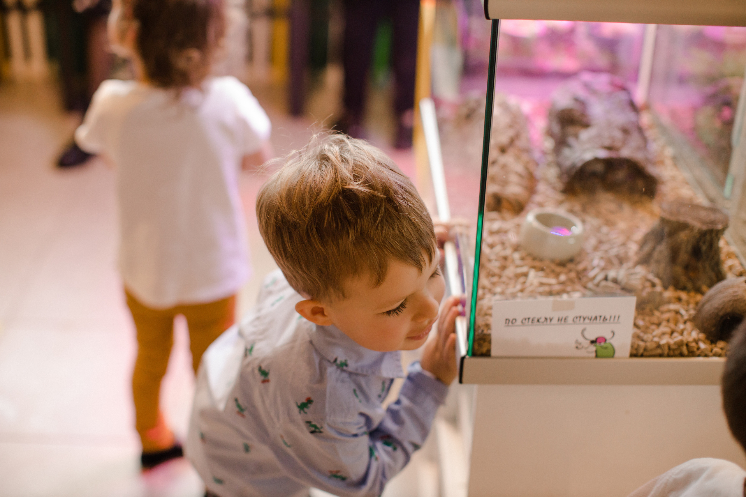 День рождения. Семейный и детский фотограф в Москве Кузьмина Мария