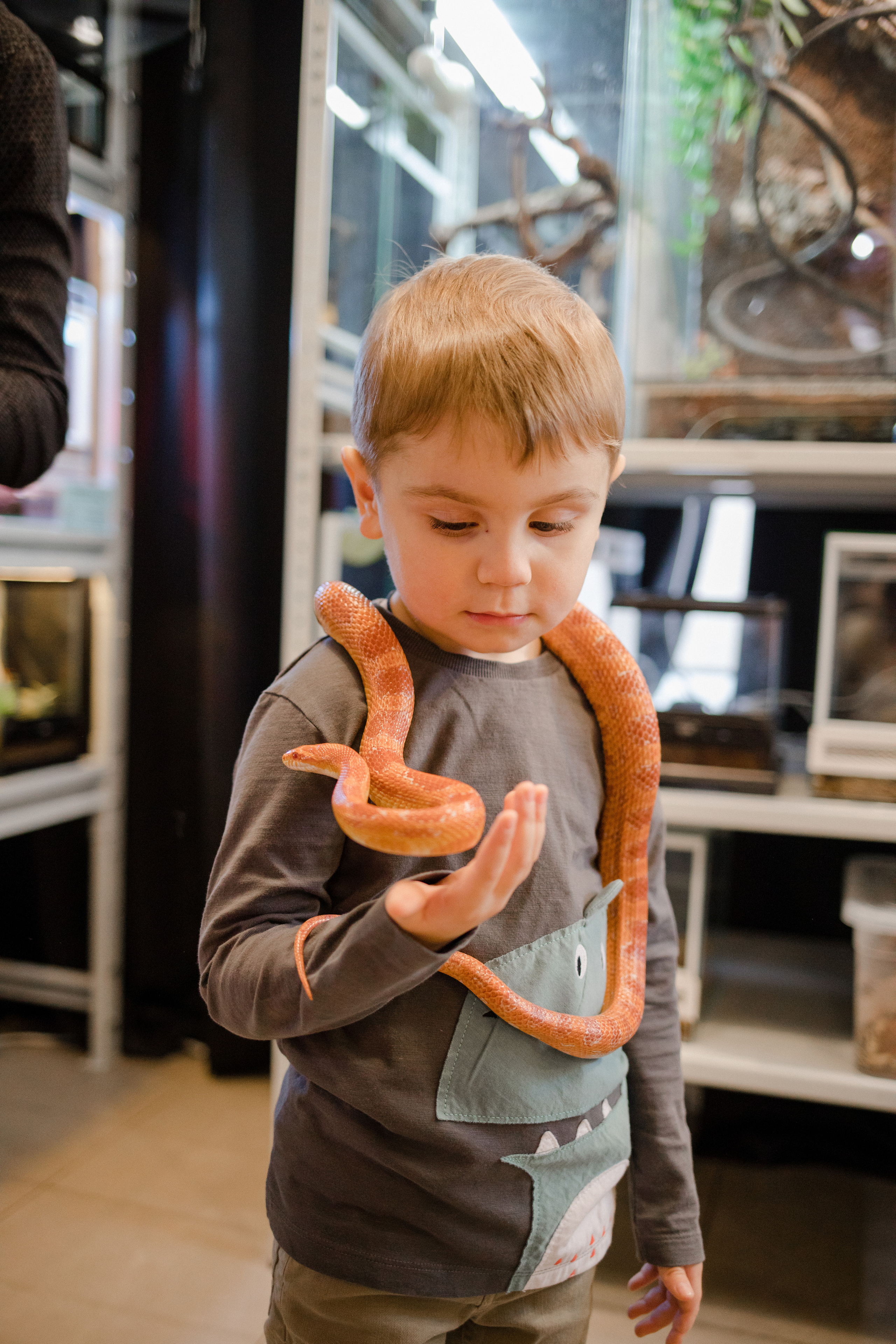 День рождения. Семейный и детский фотограф в Москве Кузьмина Мария