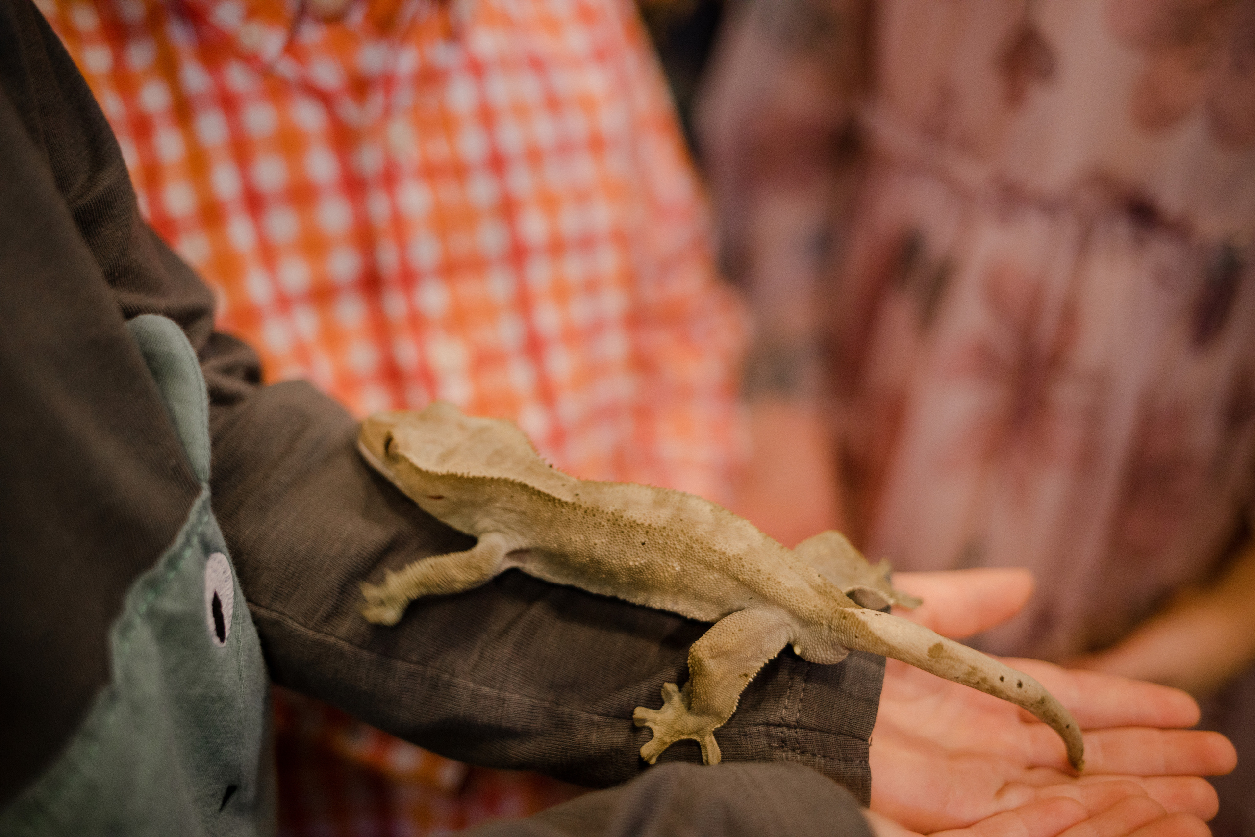 День рождения. Семейный и детский фотограф в Москве Кузьмина Мария