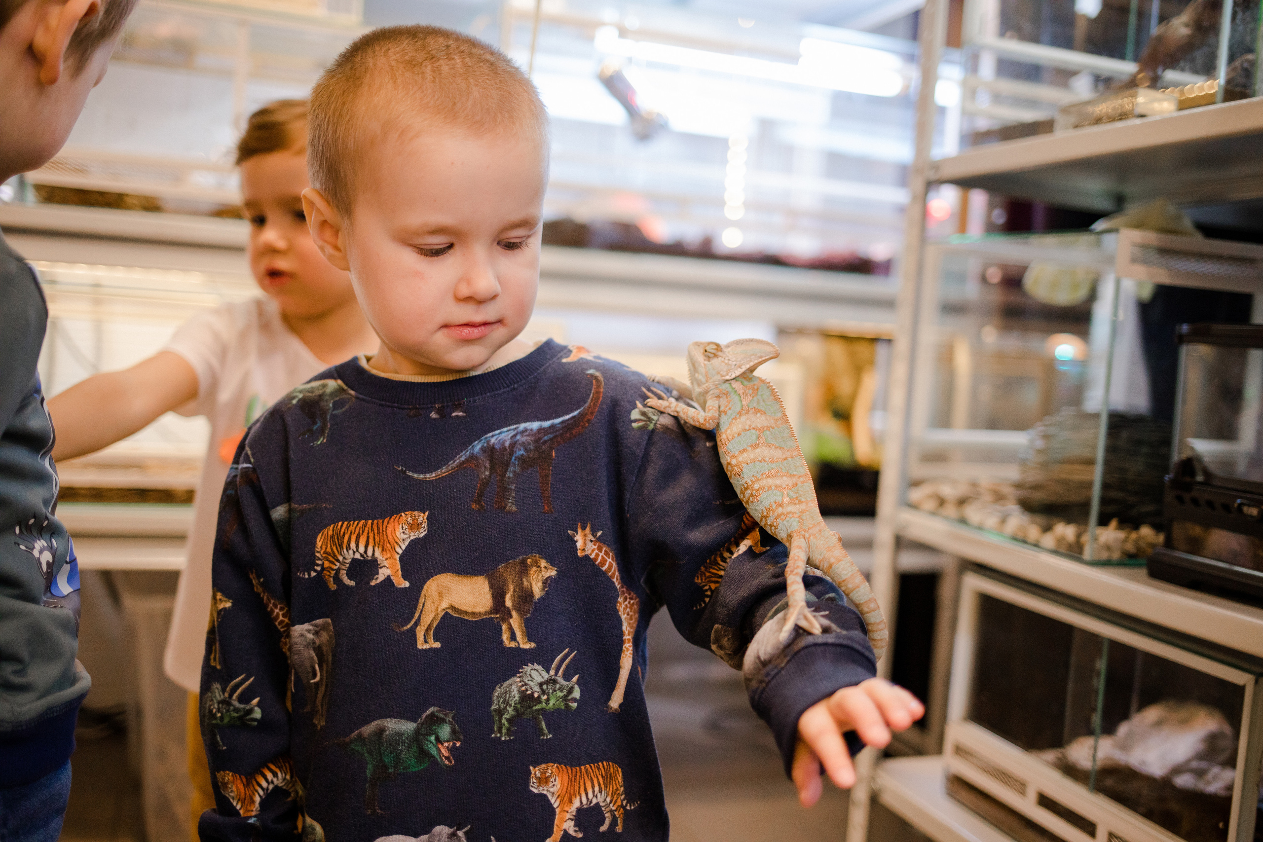 День рождения. Семейный и детский фотограф в Москве Кузьмина Мария
