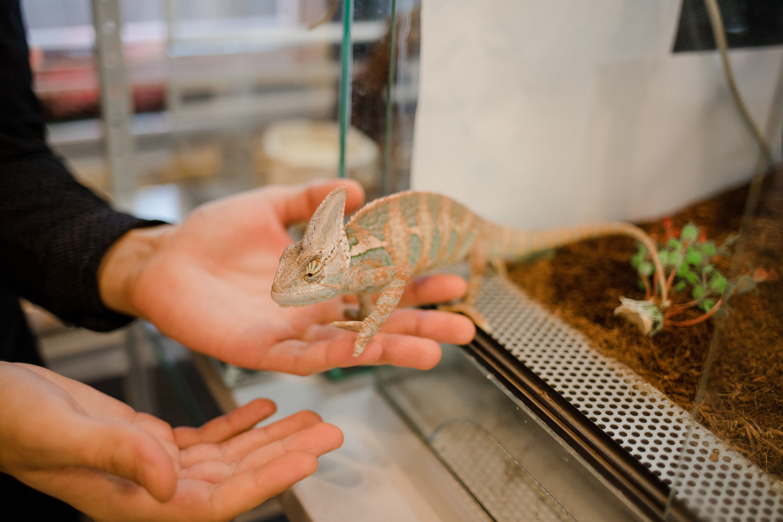 День рождения. Семейный и детский фотограф в Москве Кузьмина Мария