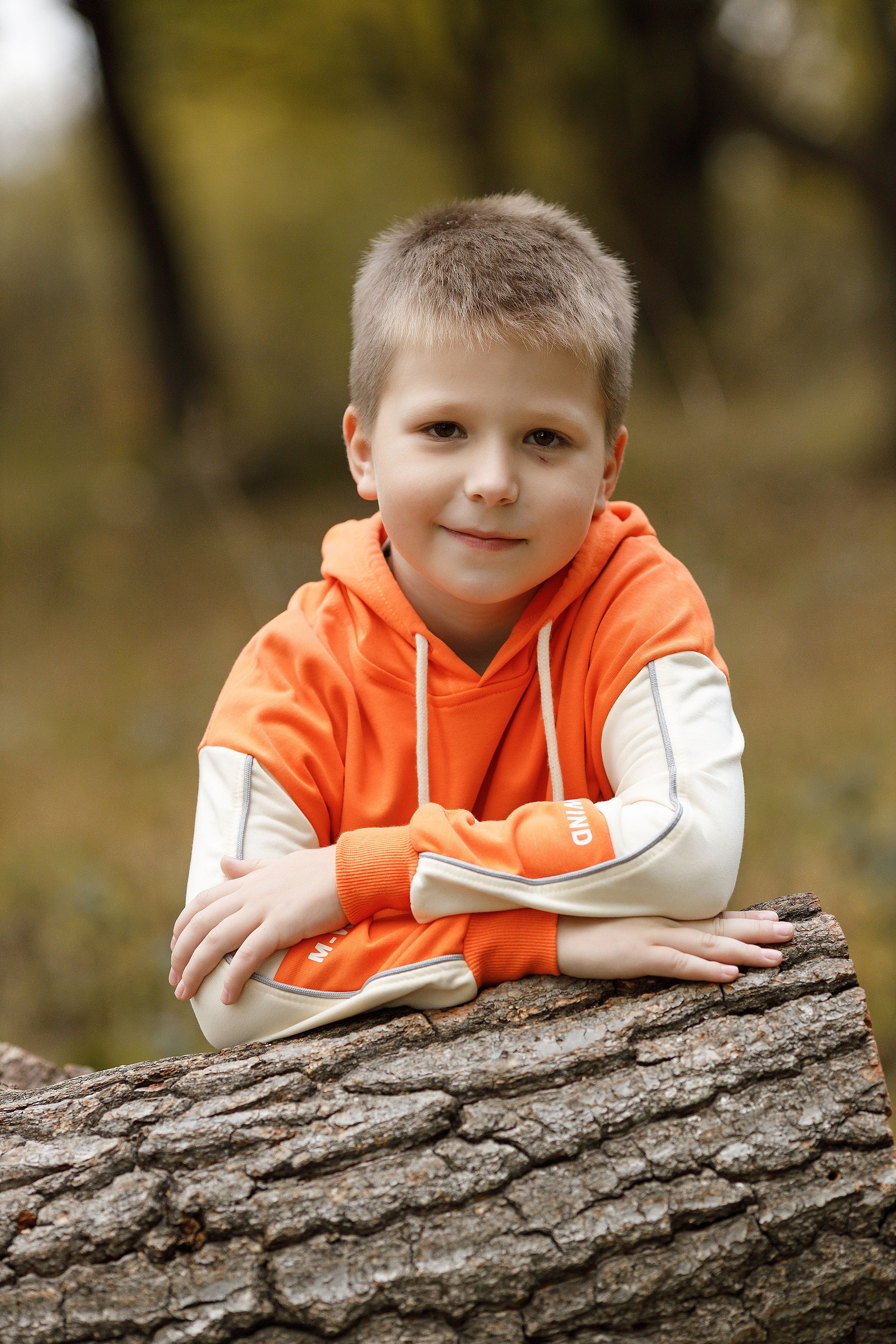 Осень Гимназия Артем. Photoalbum-vl.ru