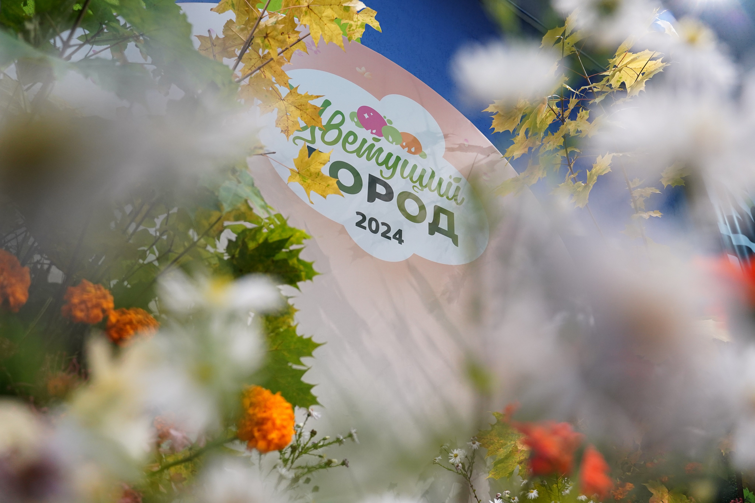 Финал проекта «Цветущий город». Спортивный и репортажный фотограф в Иваново Сергей Силкин