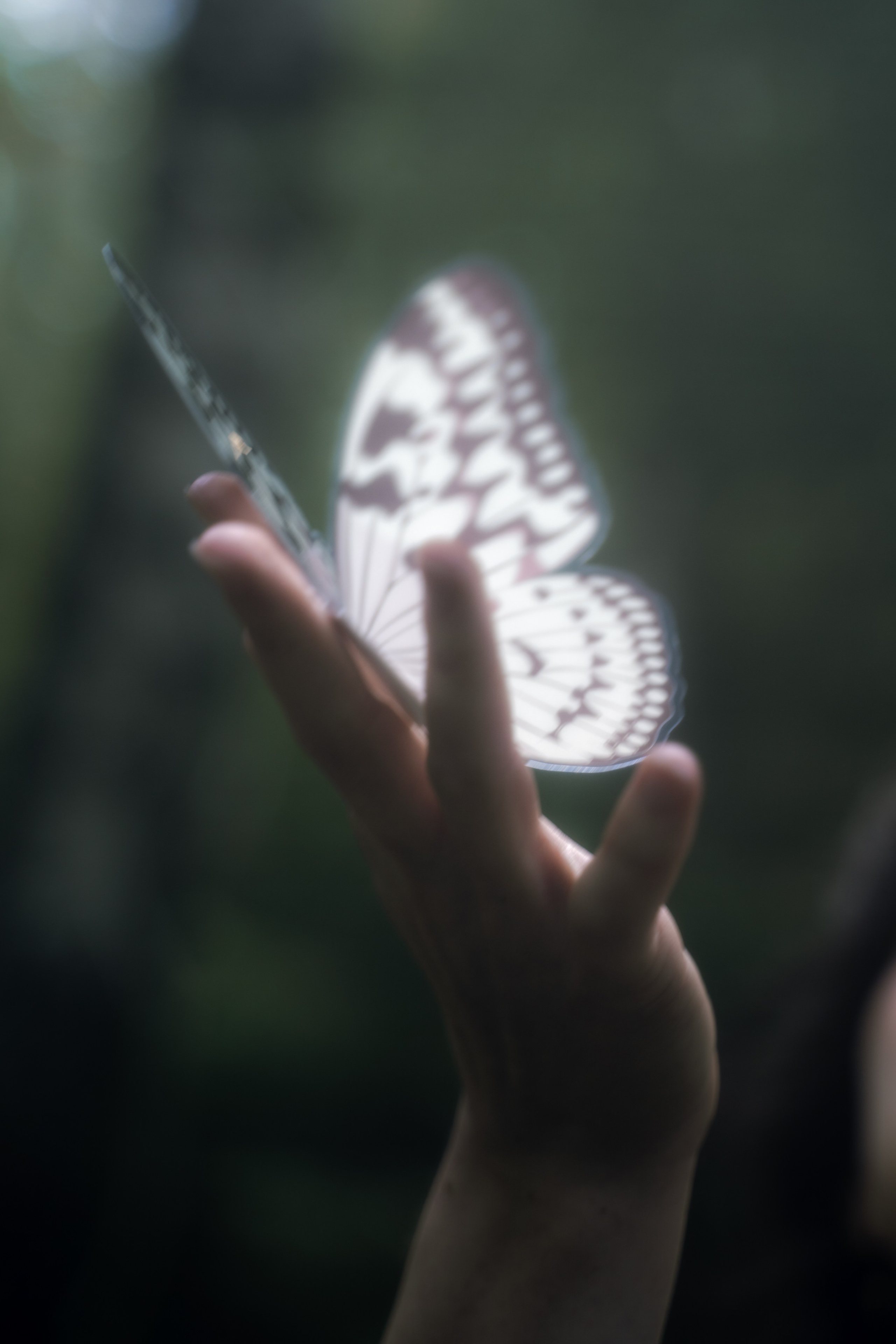 Ретрит в Петяярви 2023. Лилия Гоца. Гунфу Шаолинь. Арт-фотография. Ретриты