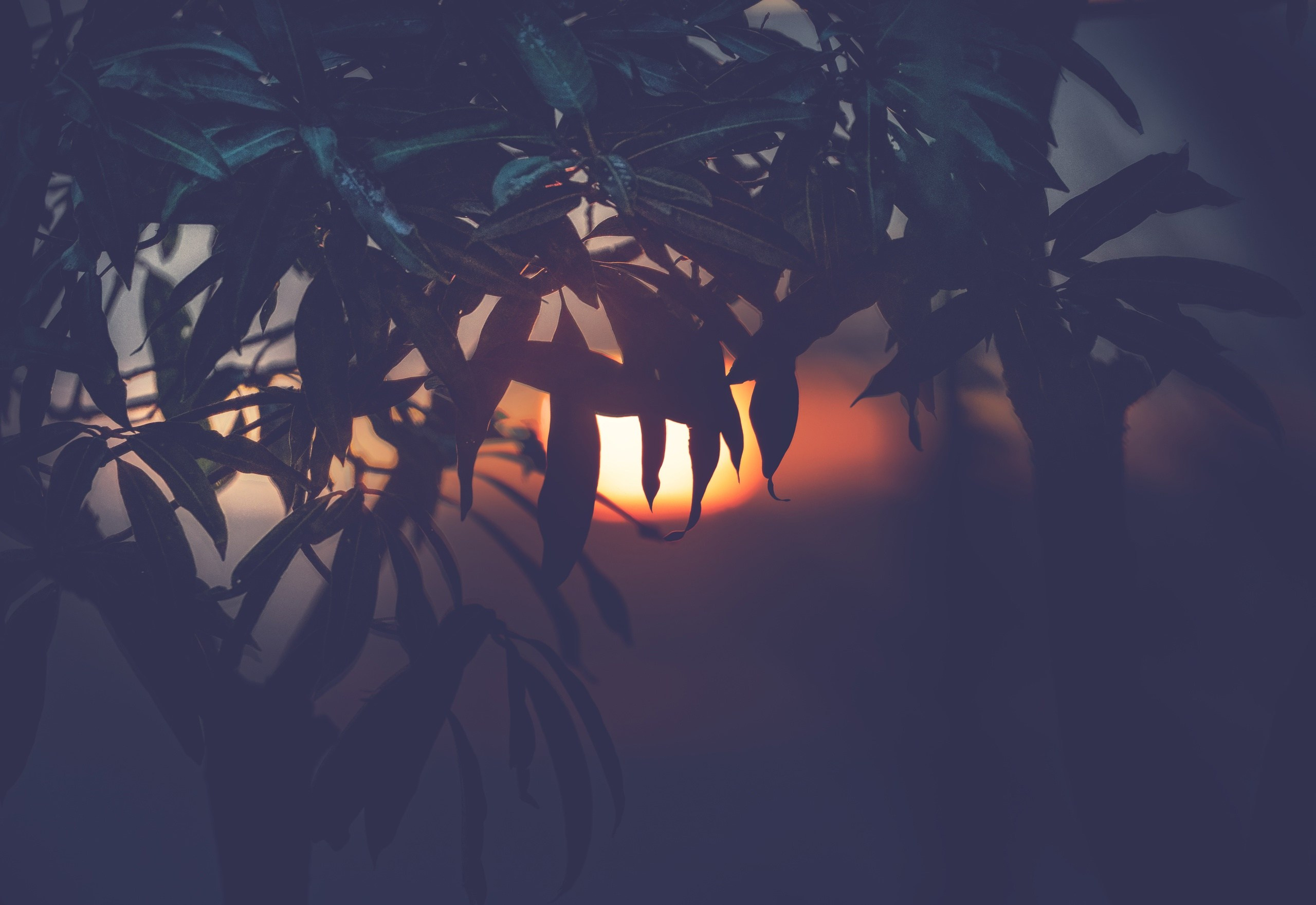 ПРИРОДА. Слепки времени. Фотографии природы и событий. Москва. Сергей Аллагулов