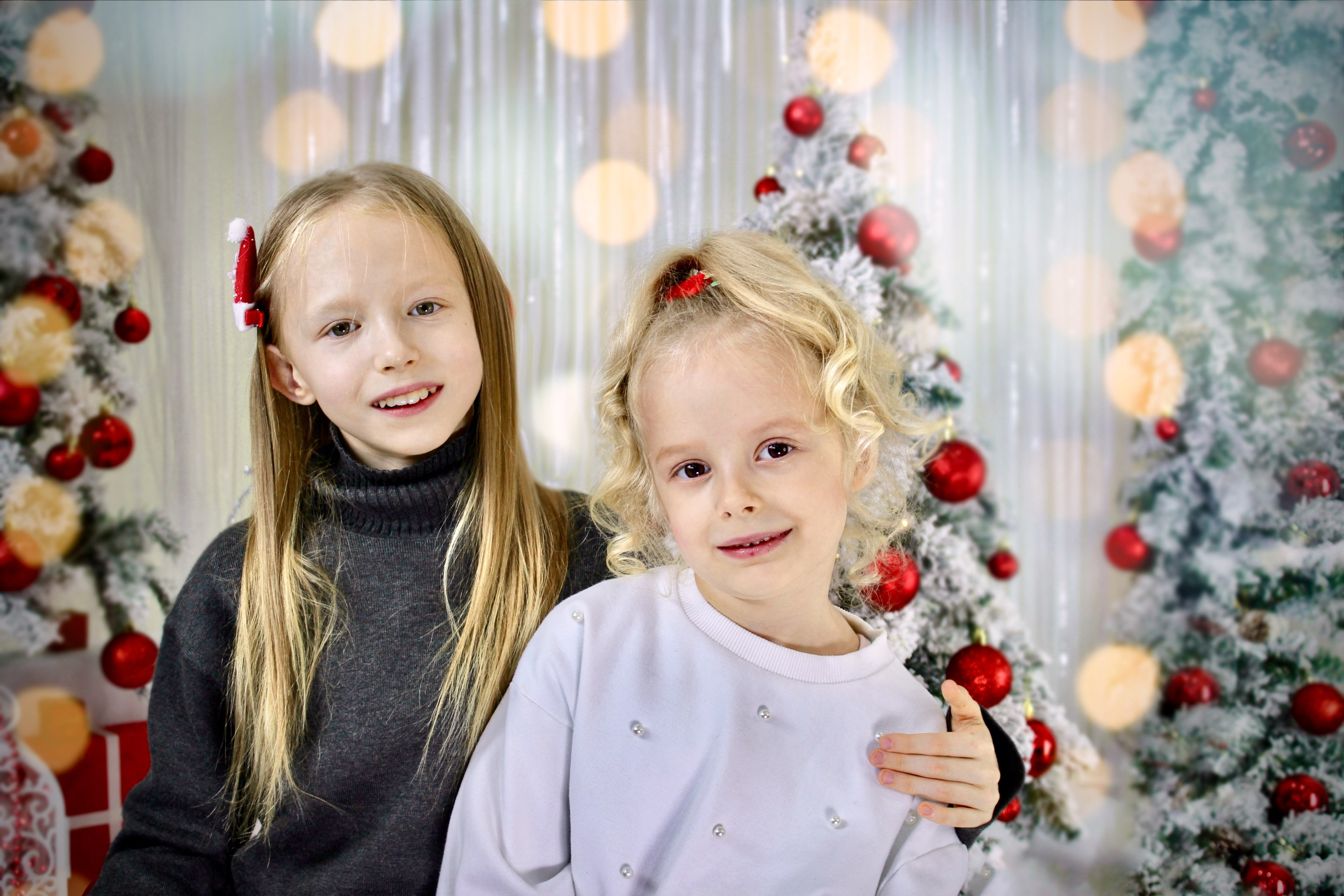 Новогодняя фотосессия. Портфолио