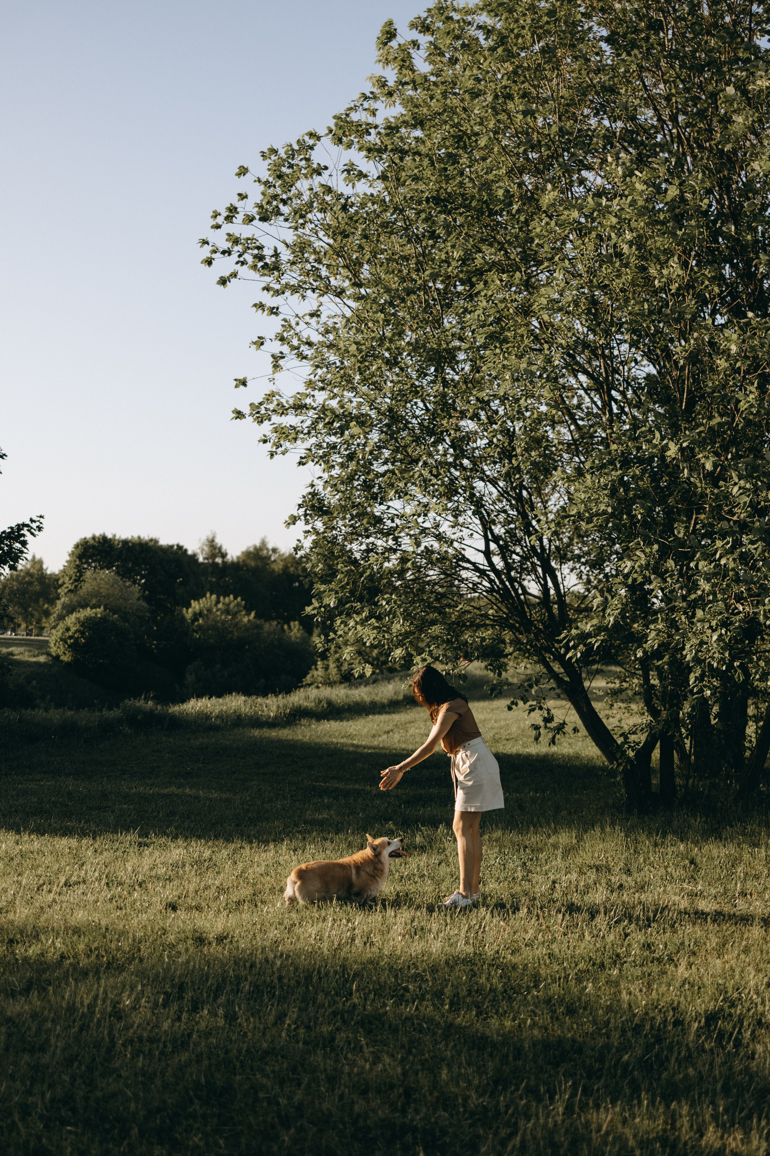 Кристина и Шелби. Фотограф — Анималист | Санкт-Петербург