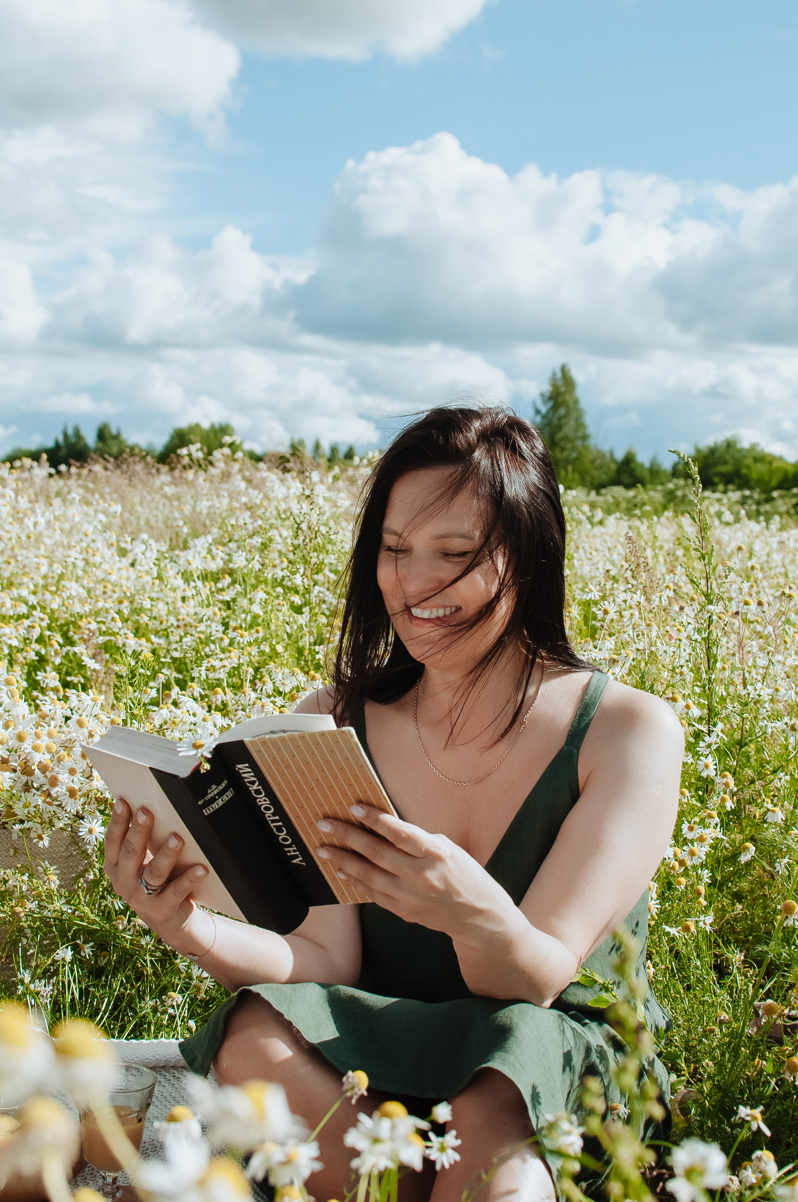 Привет ромашки