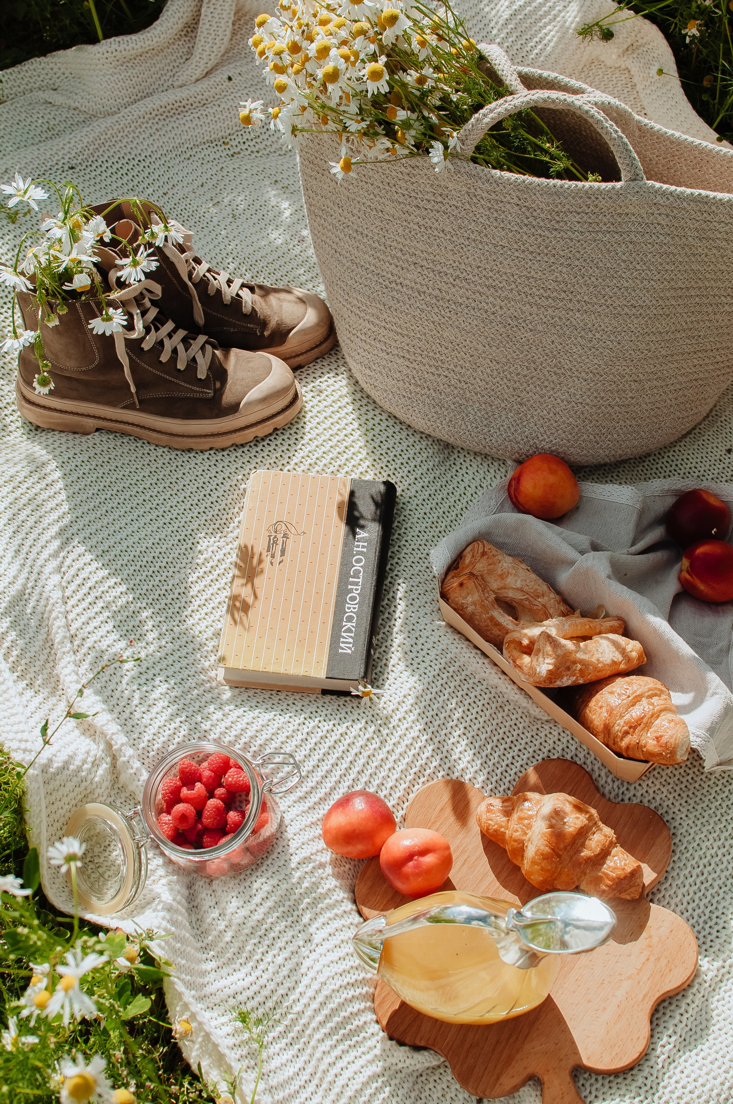 Привет ромашки