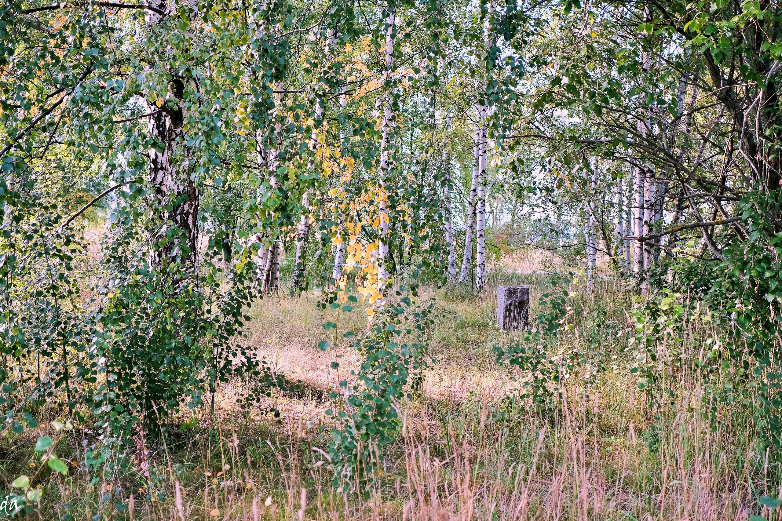 Пейзажи. Фотограф Дмитрий Алексеев